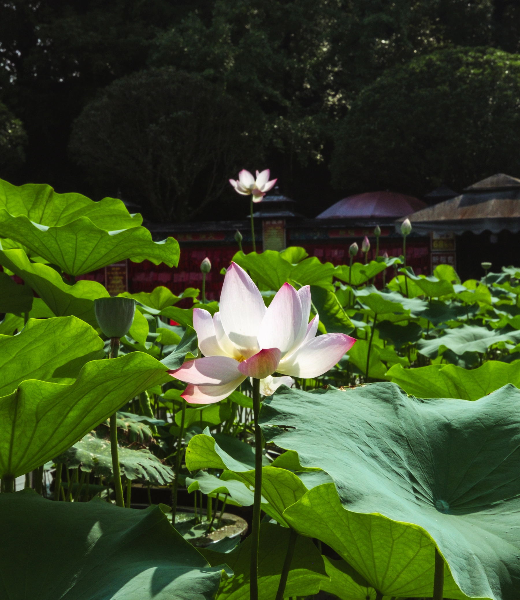 China 2024 photography