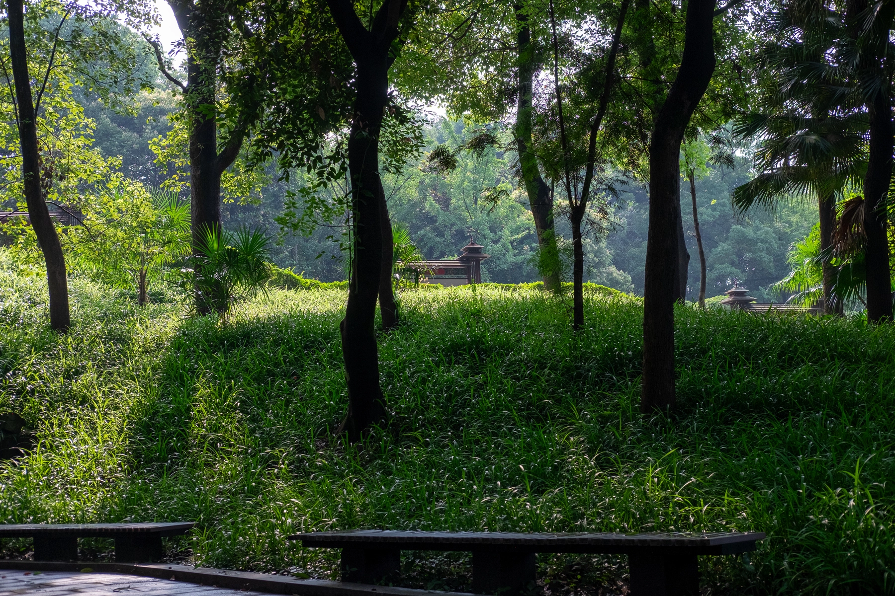 China 2024 photography