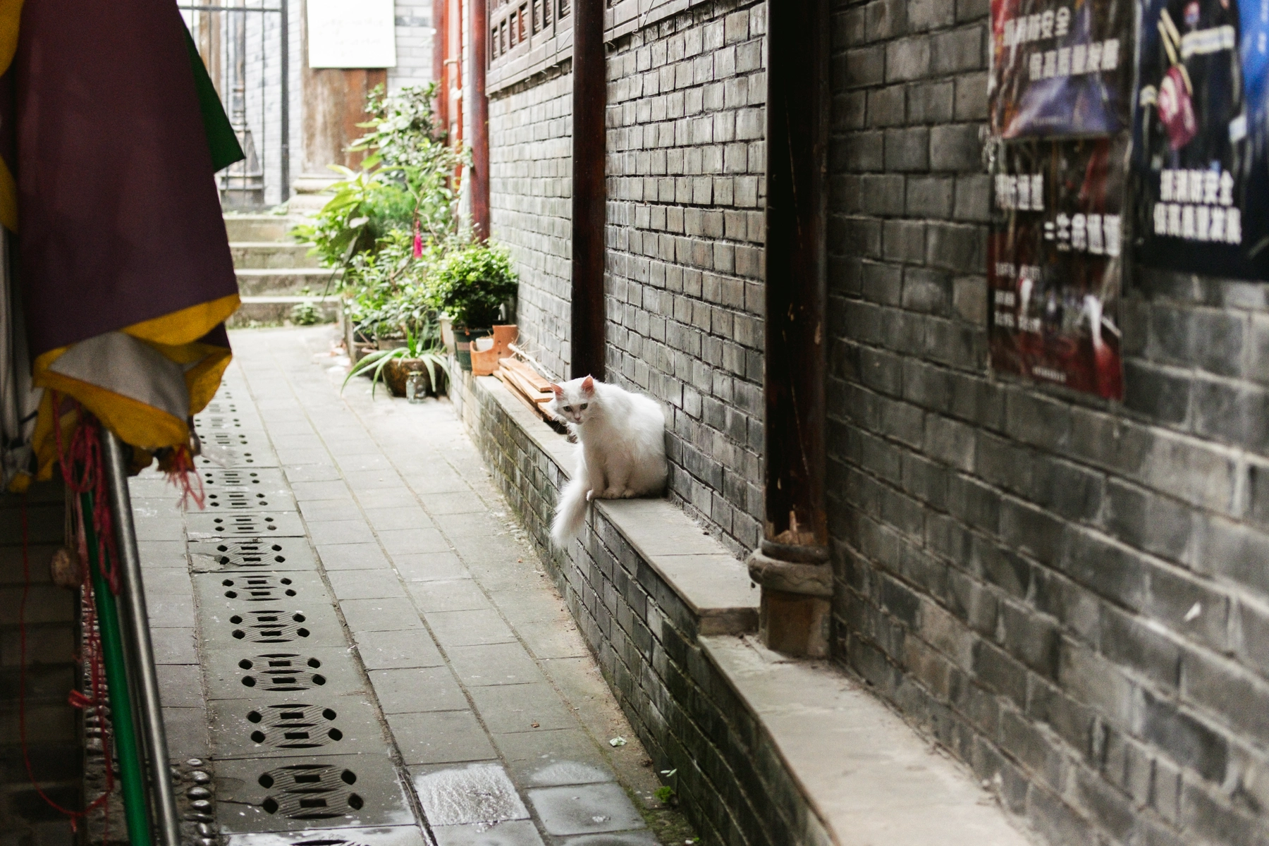 China 2024 photography