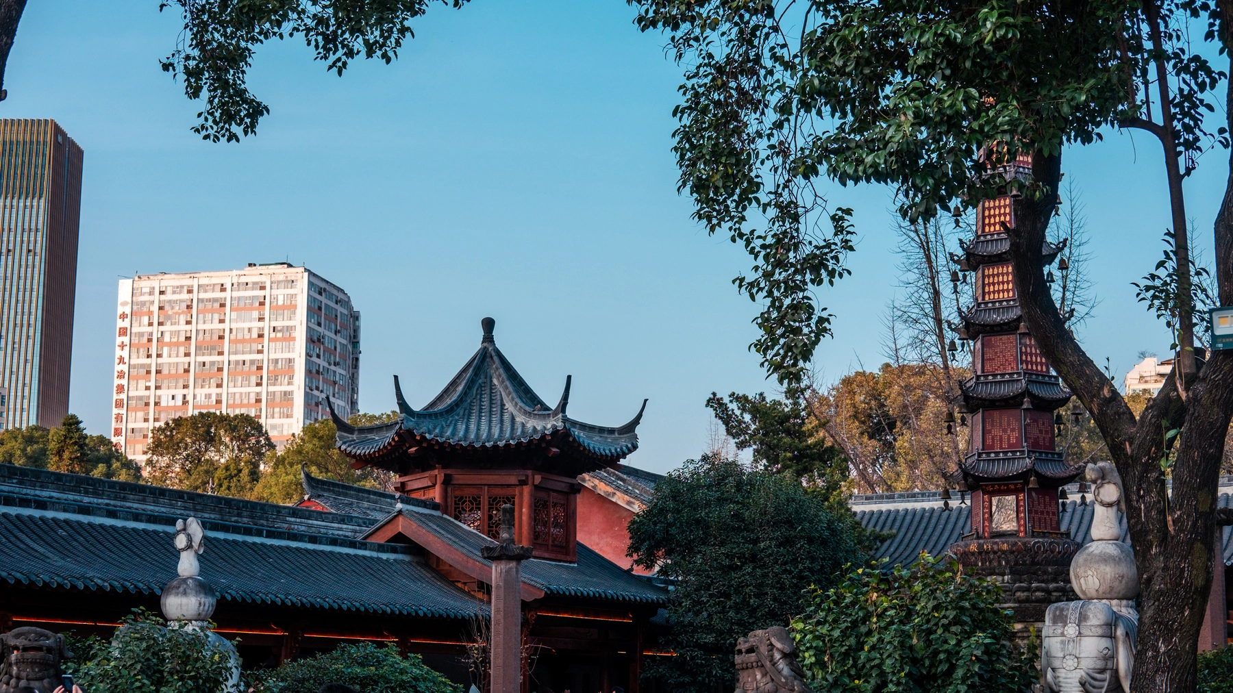 China 2025 photography
