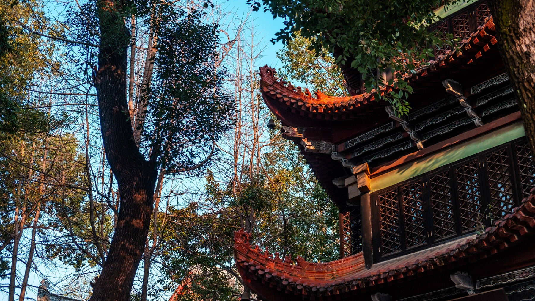 China 2025 photography