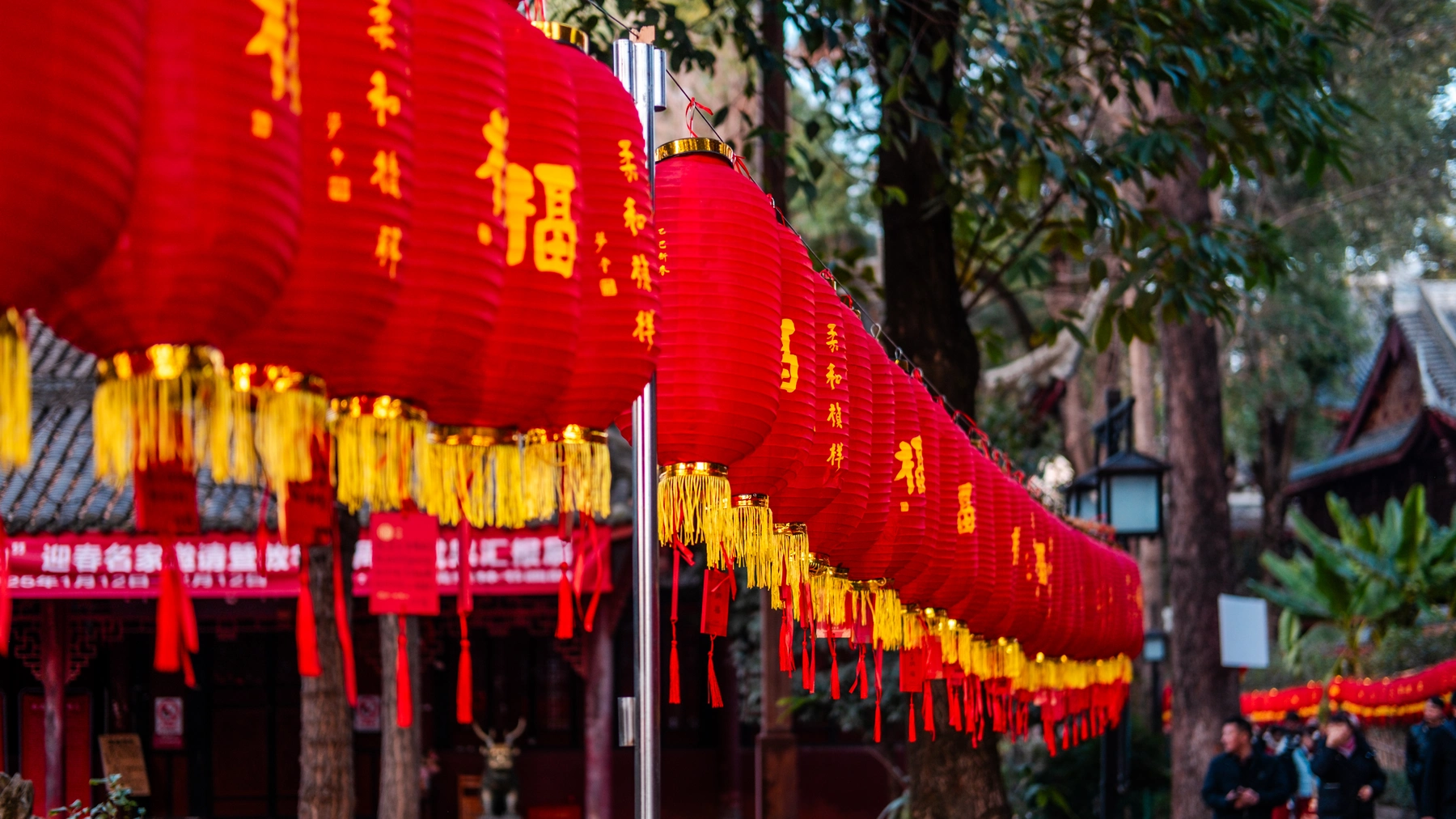 China 2025 photography