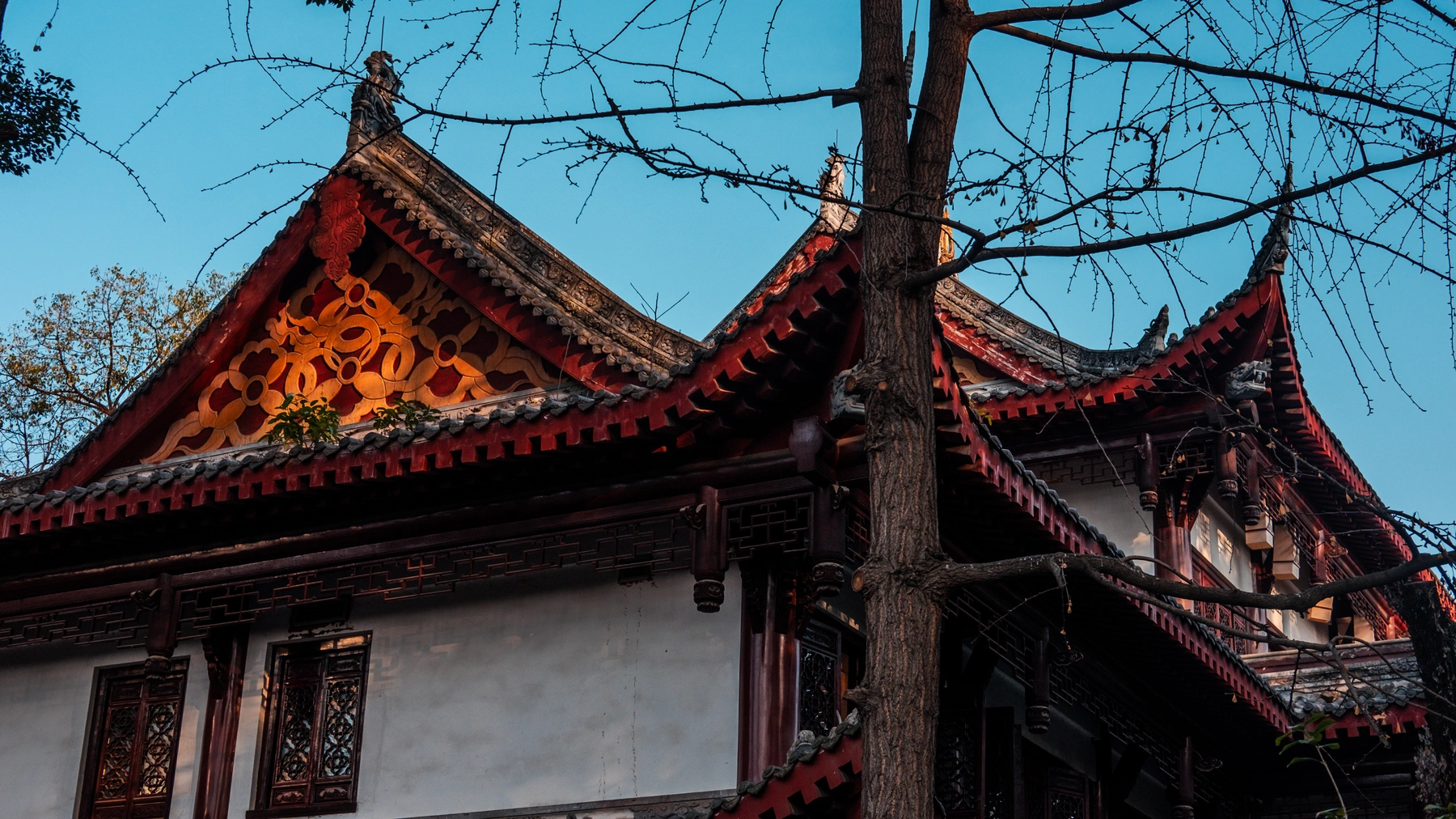 China 2025 photography