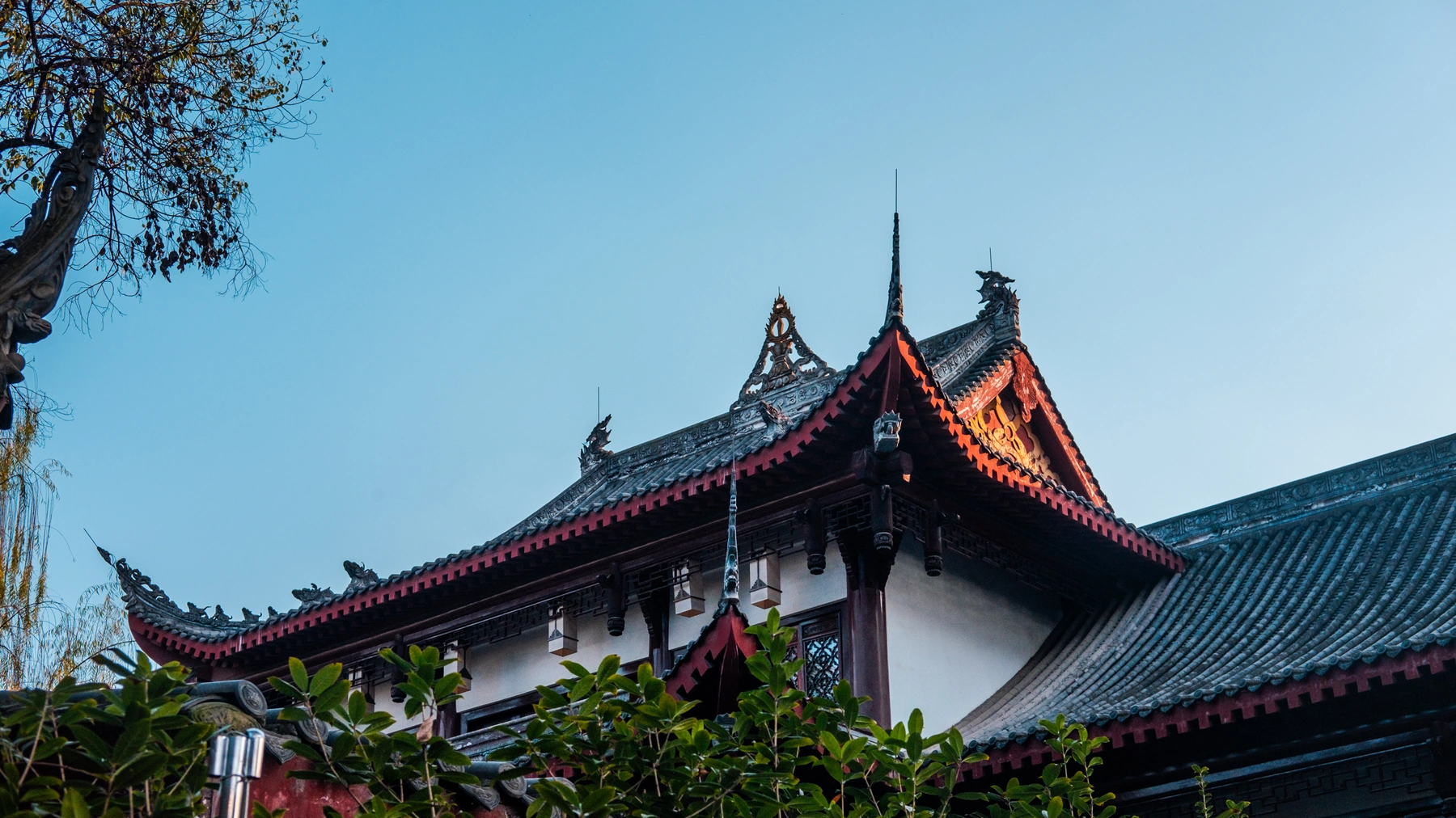 China 2025 photography