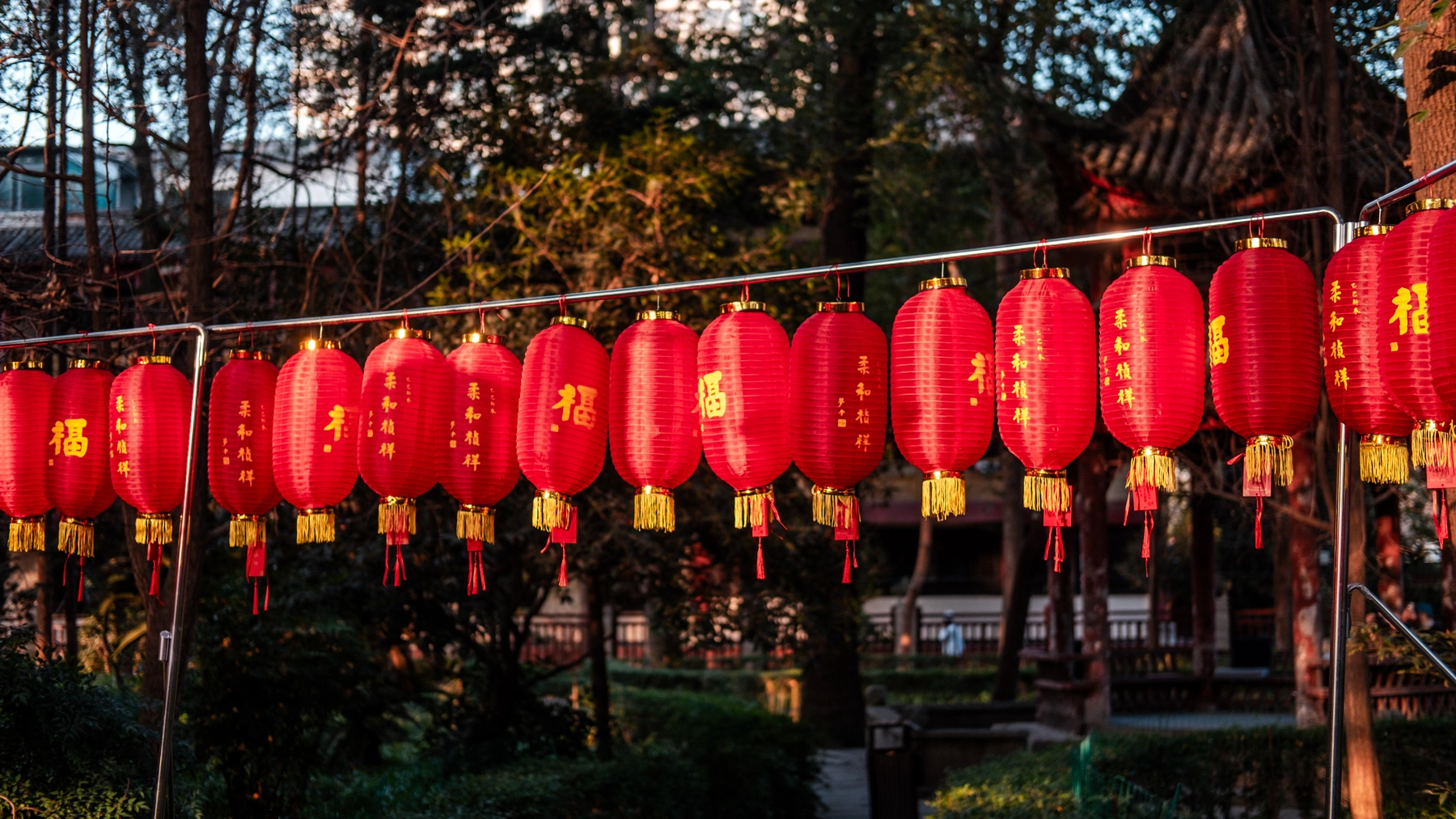 China 2025 photography