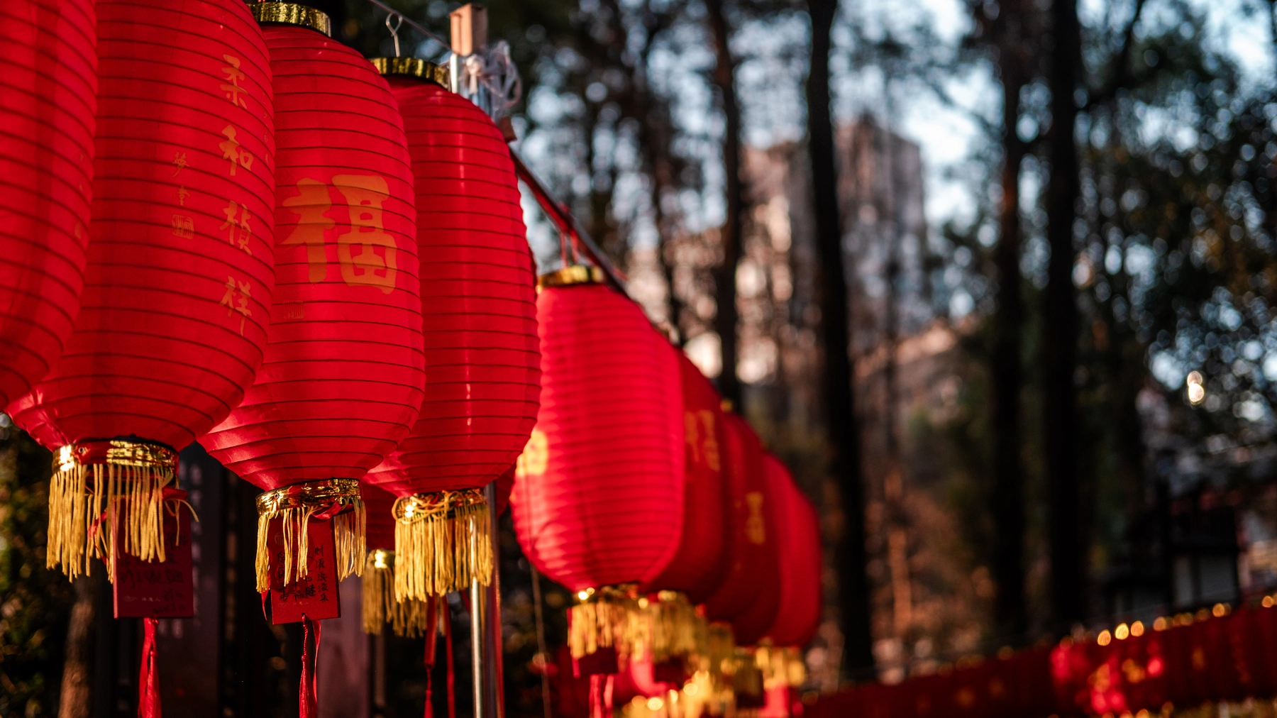 China 2025 photography