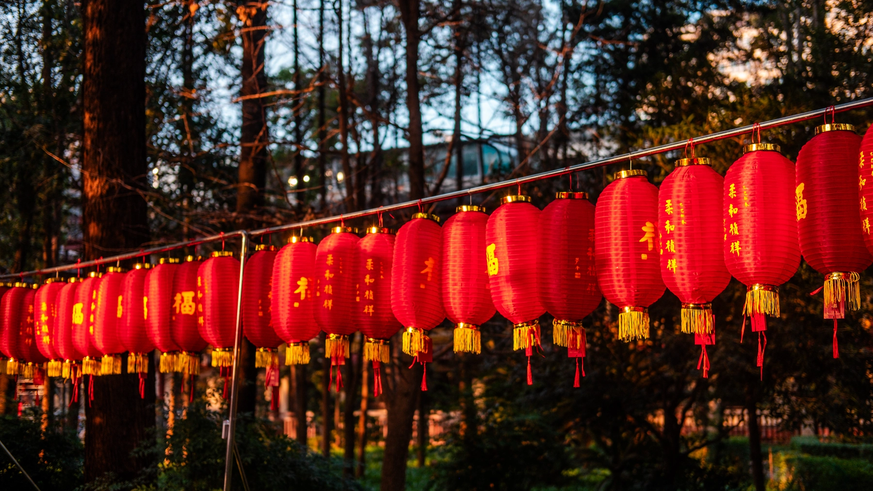 China 2025 photography