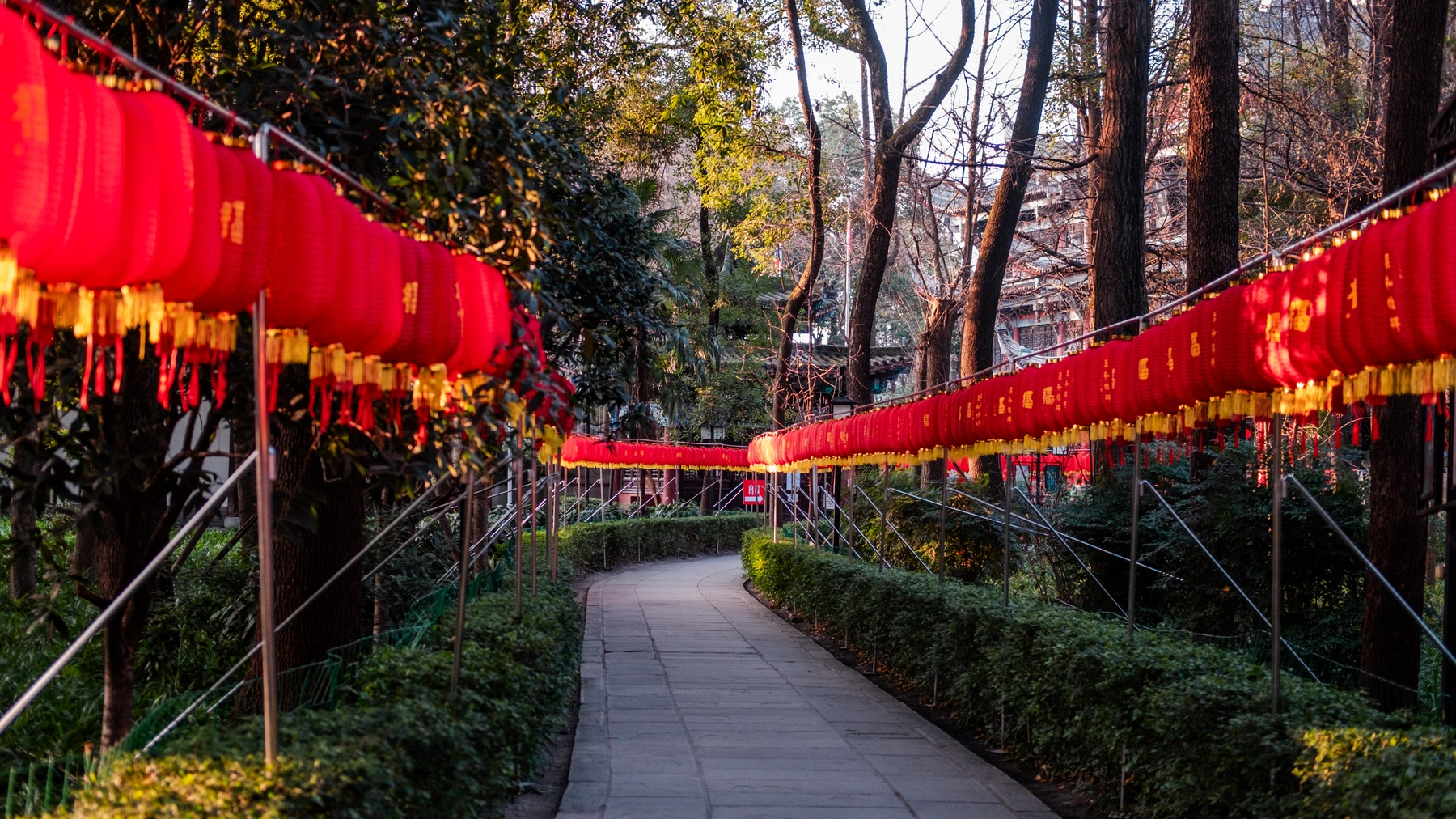China 2025 photography