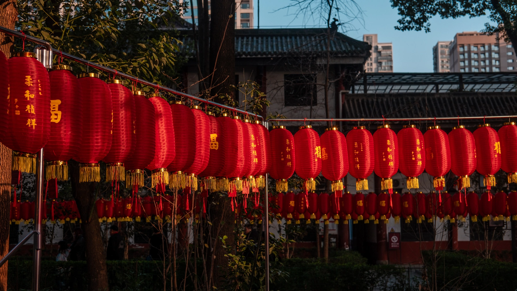 China 2025 photography