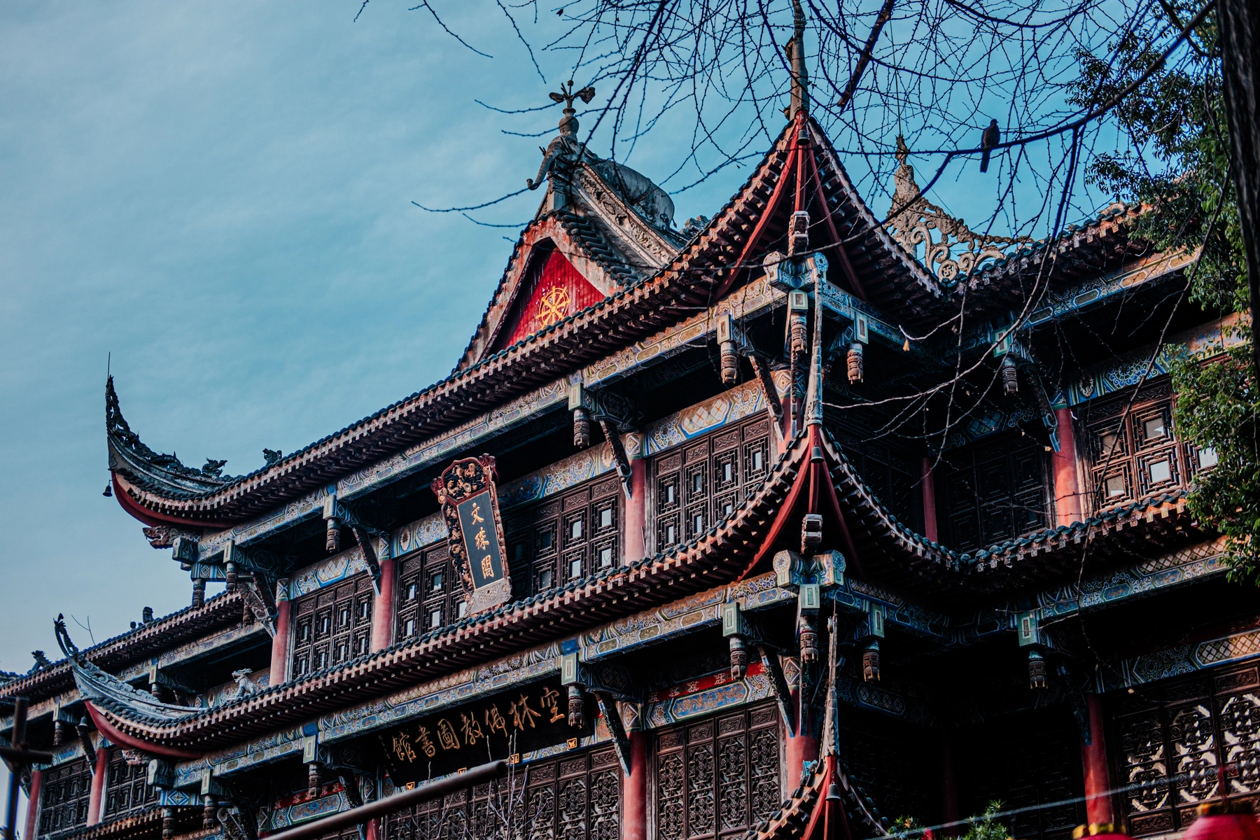 China 2025 photography