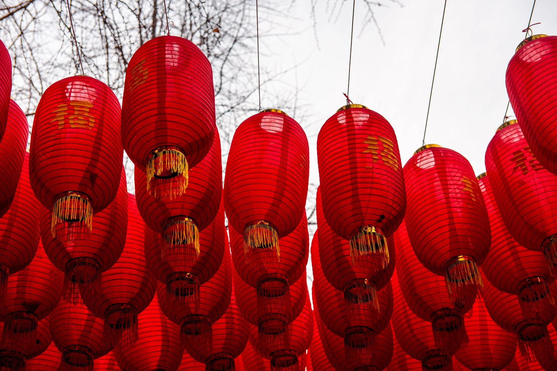 China 2025 photography