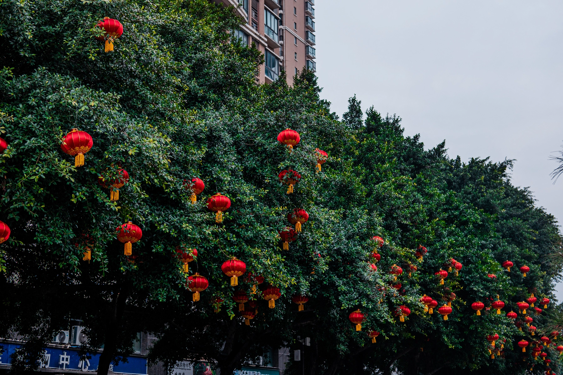 China 2025 photography