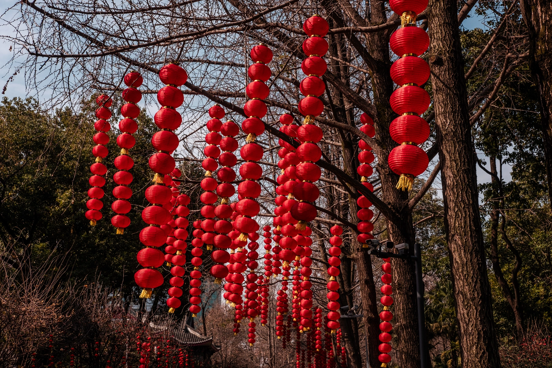 China 2025 photography