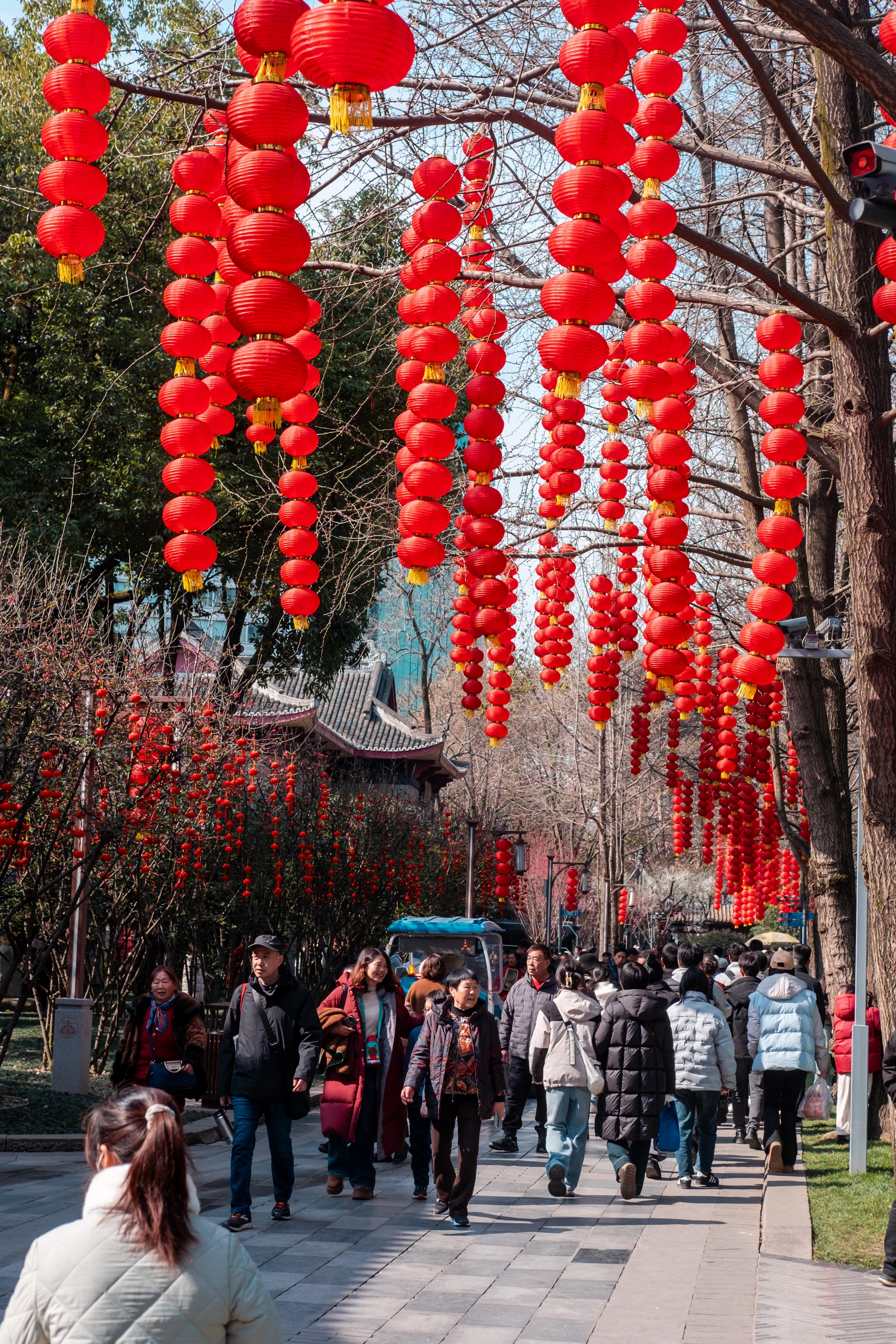 China 2025 photography