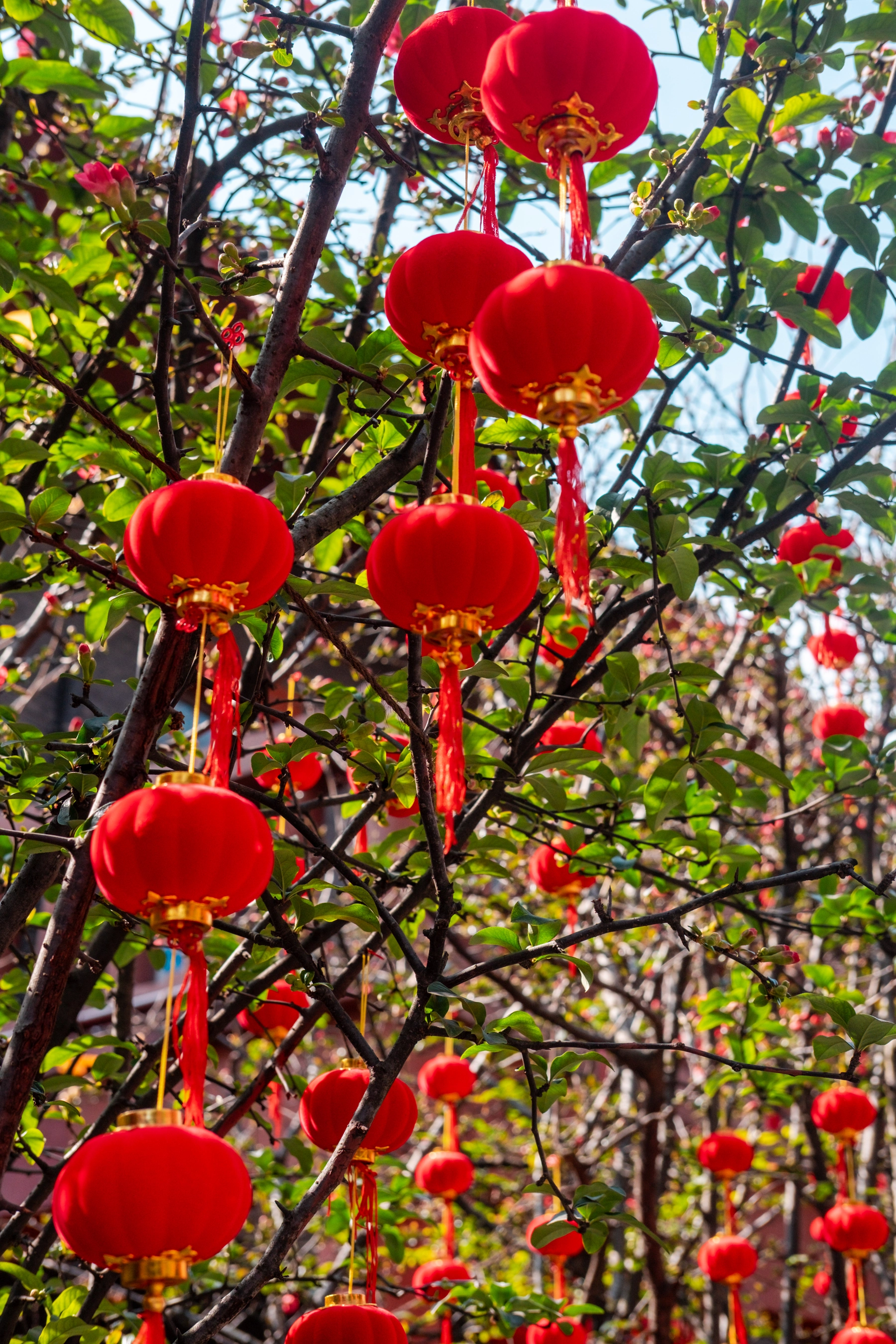 China 2025 photography