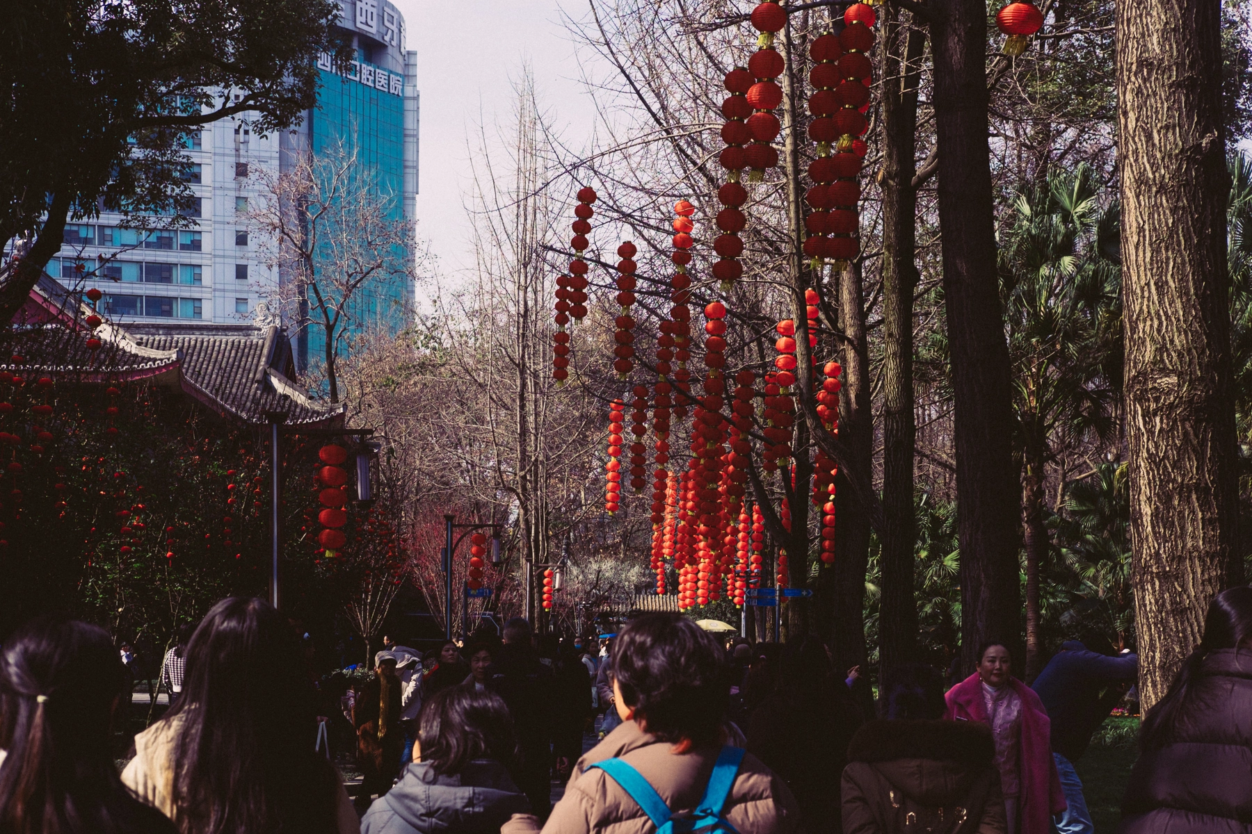China 2025 photography
