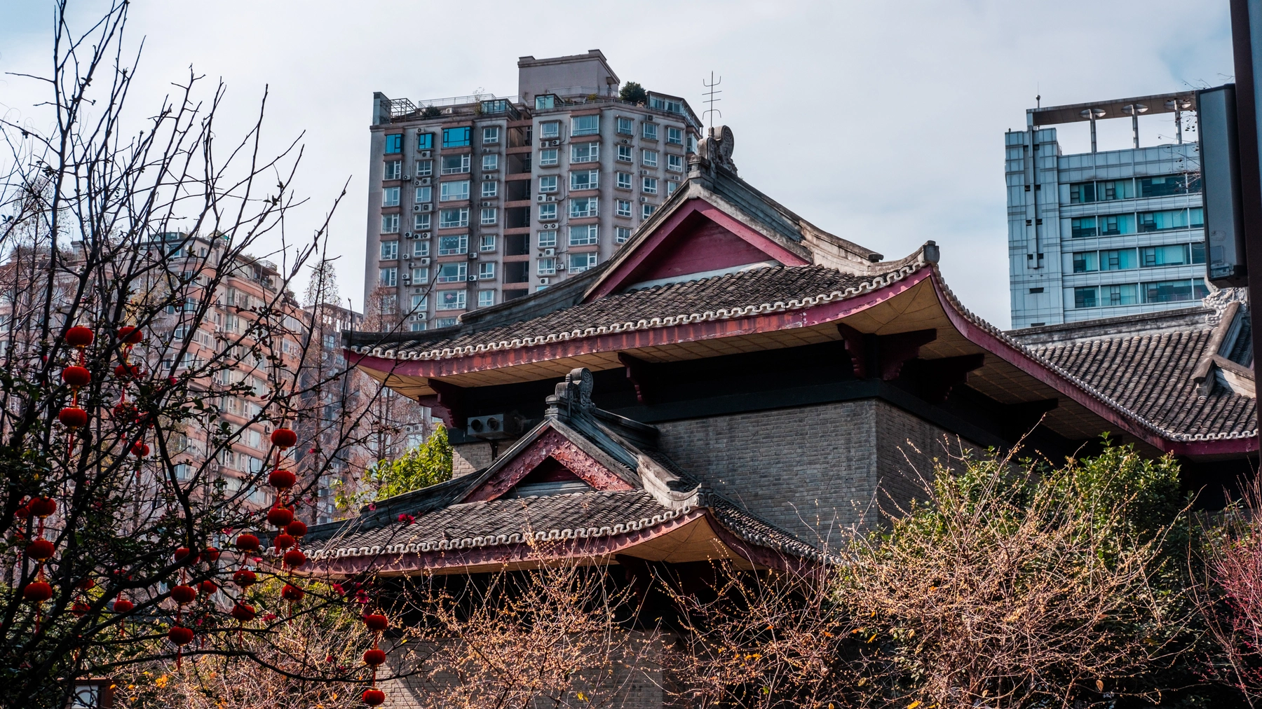 China 2025 photography