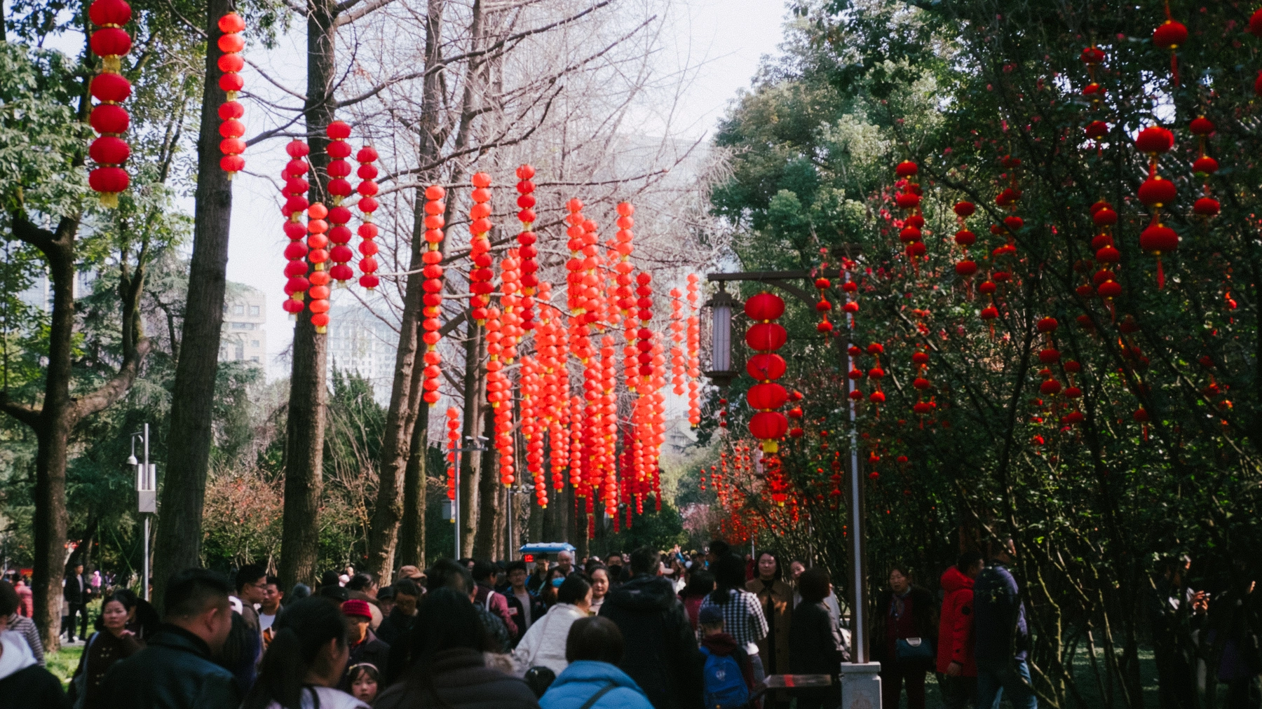 China 2025 photography