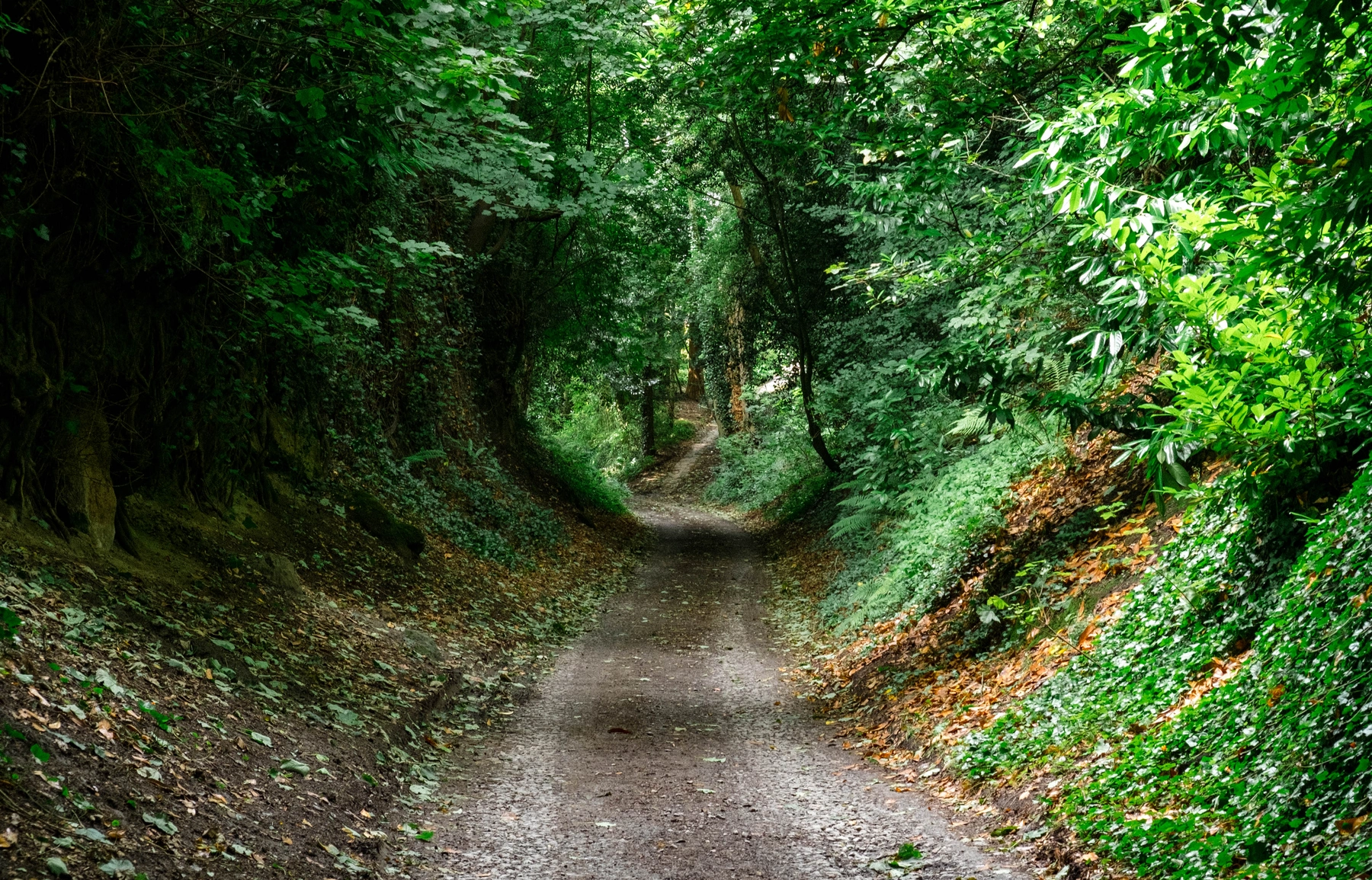 Devizes photography