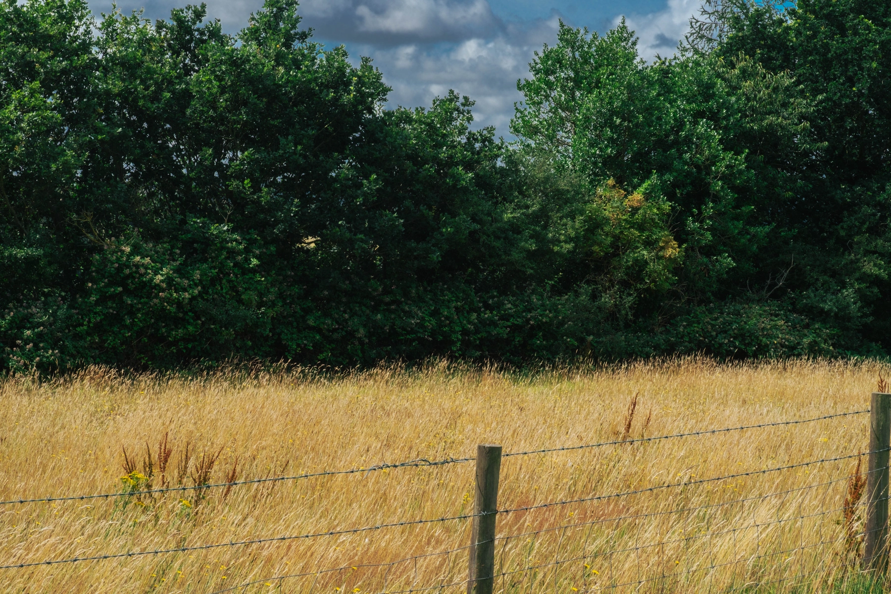 Devizes photography