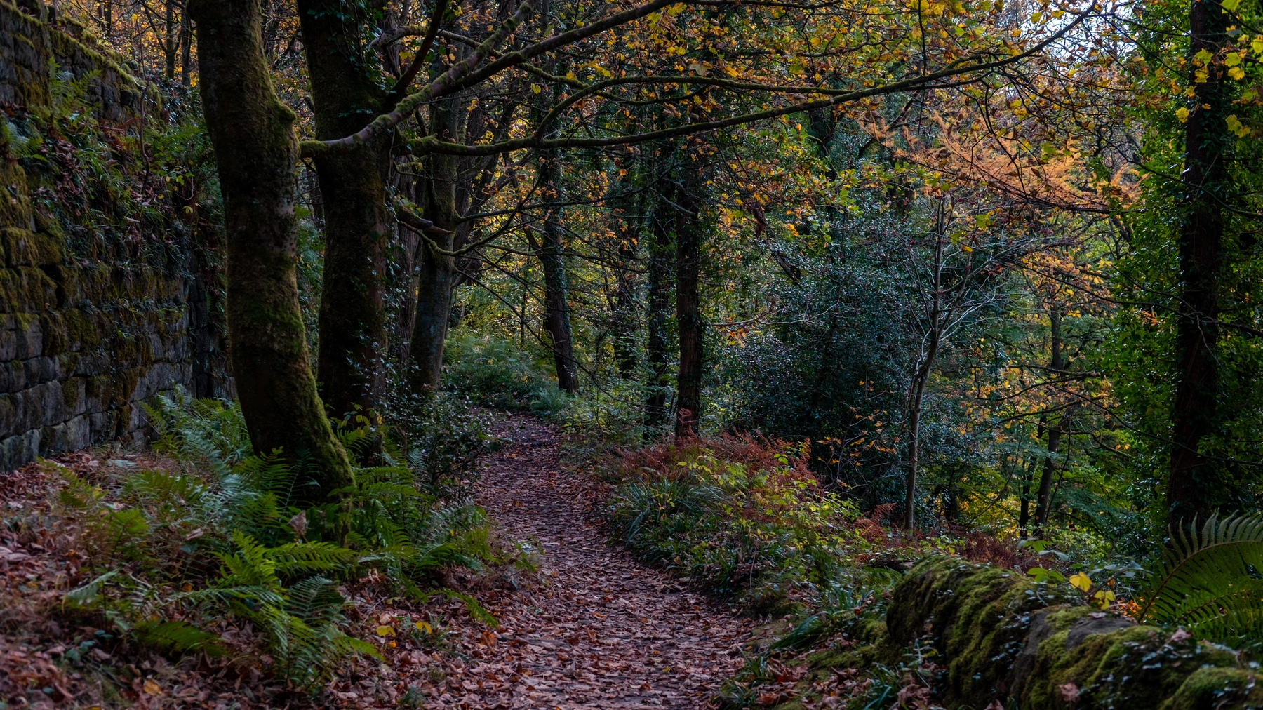 Hebden Bridge photography