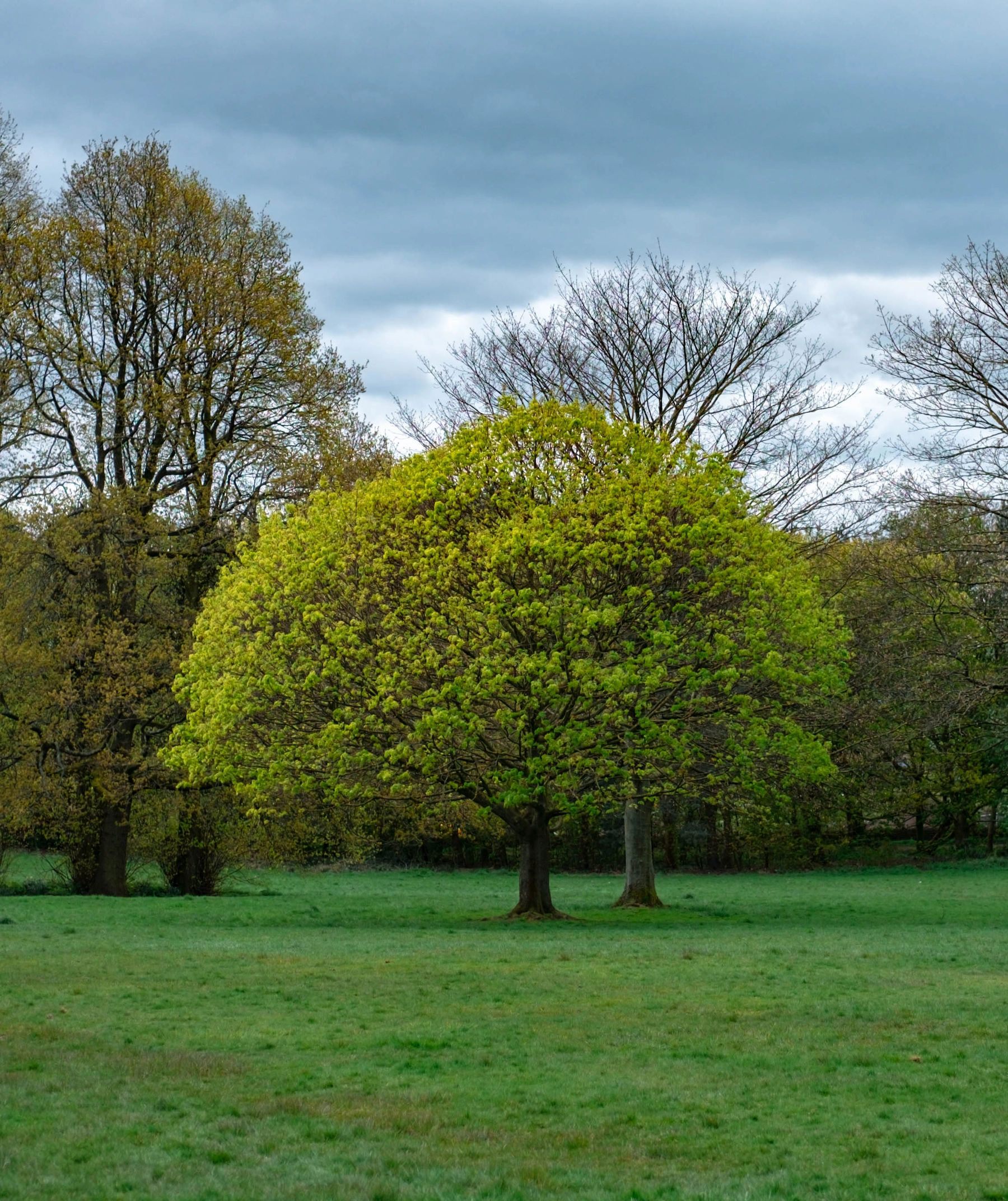 Horsforth Hall Park photography