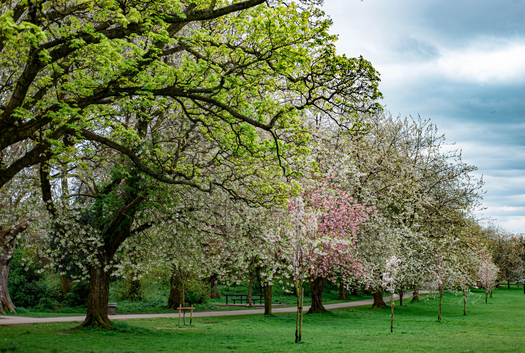 Horsforth Hall Park photography