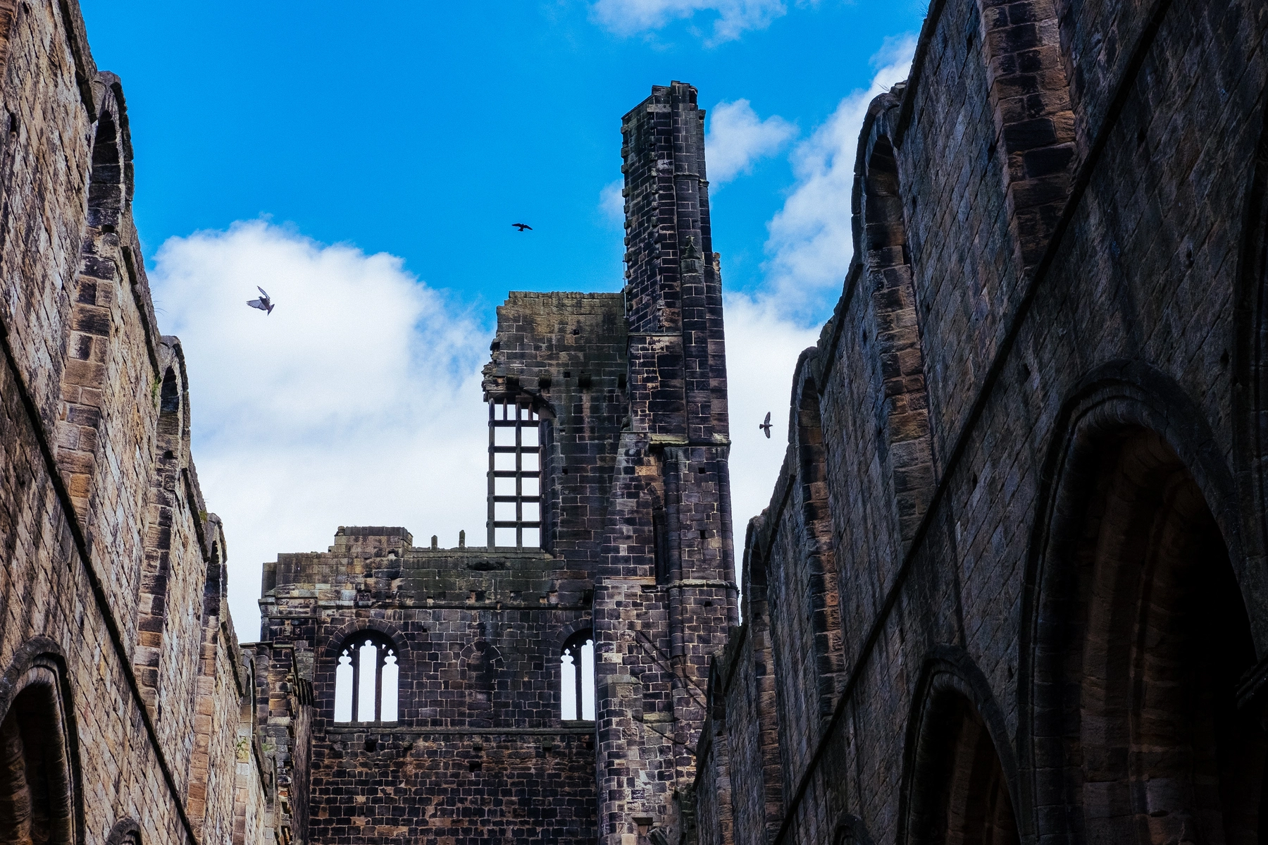 Kirkstall Abbey photography