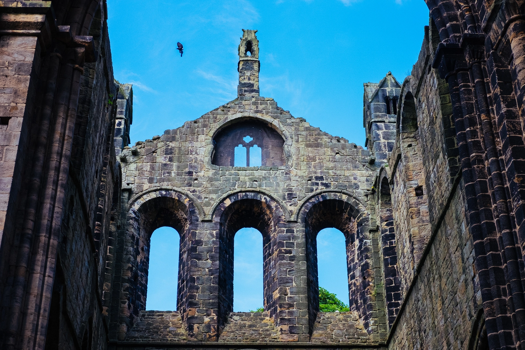 Kirkstall Abbey photography