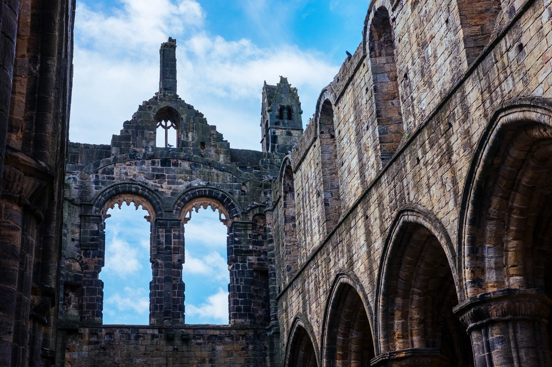 Kirkstall Abbey photography