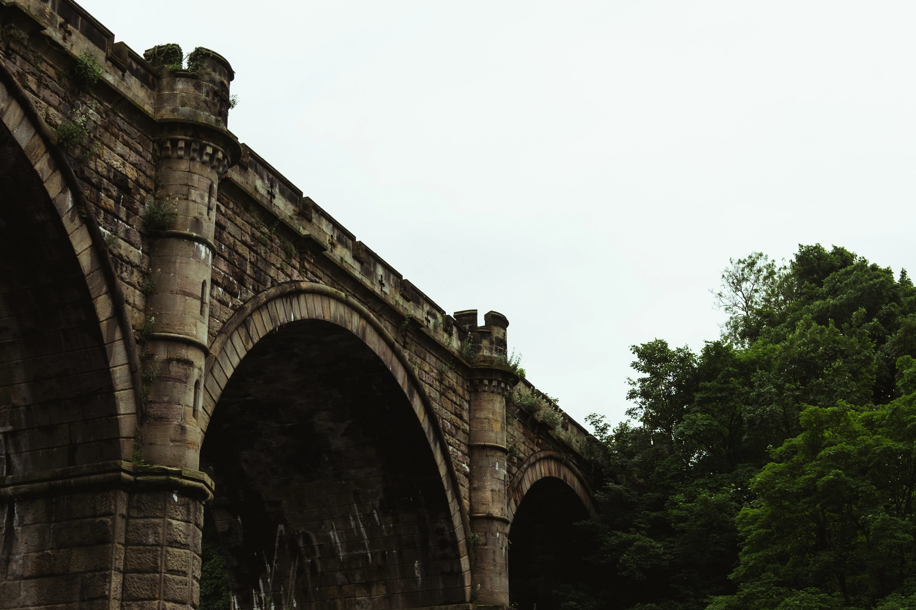 Knaresborough photography