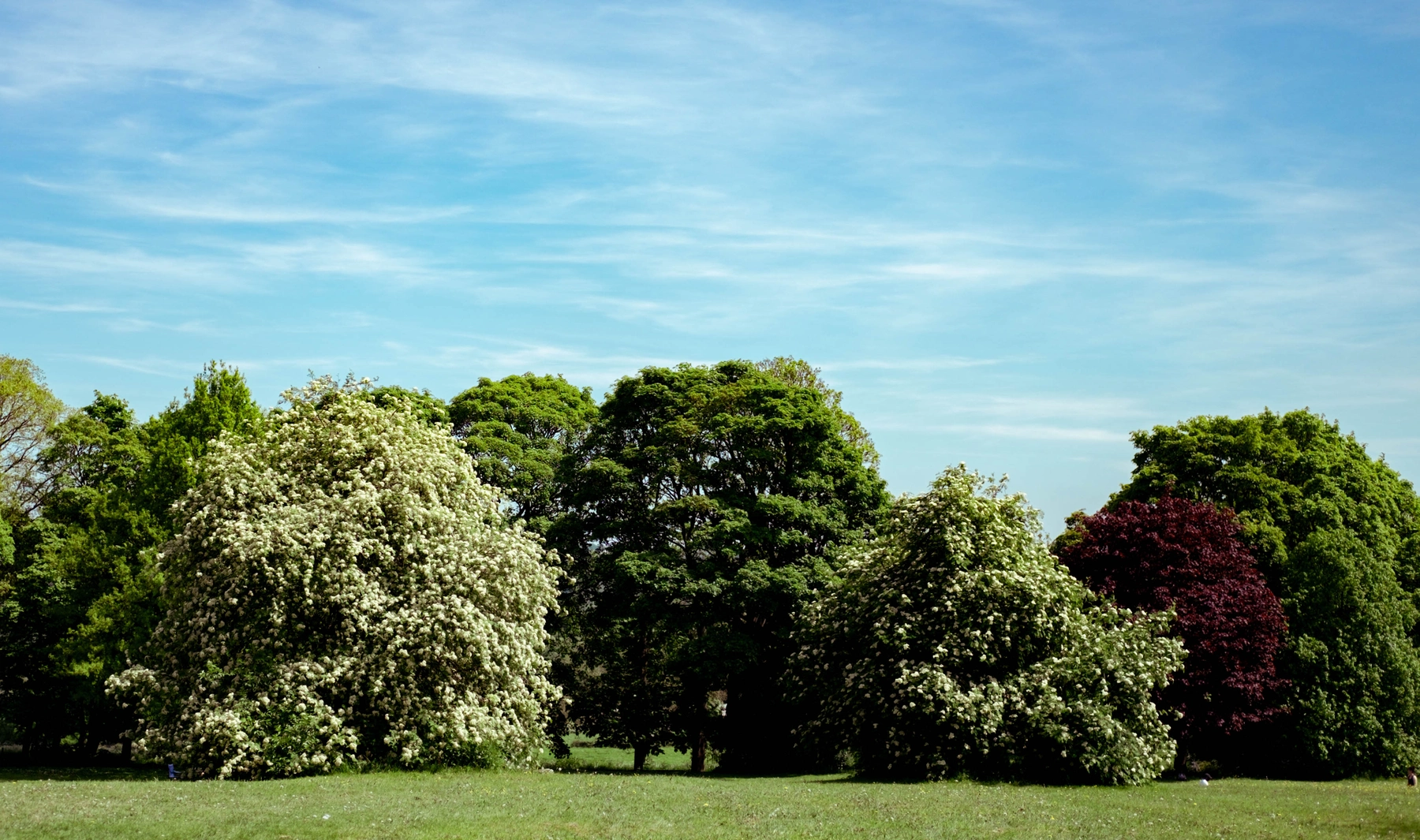 Nature photography