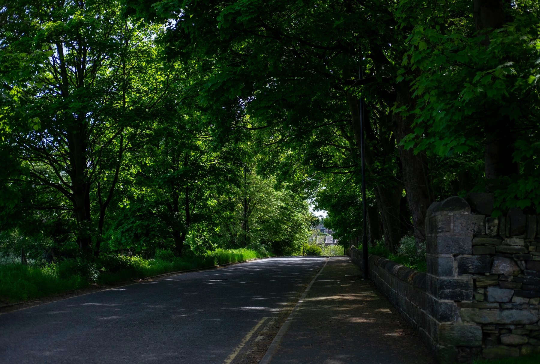 Nature photography