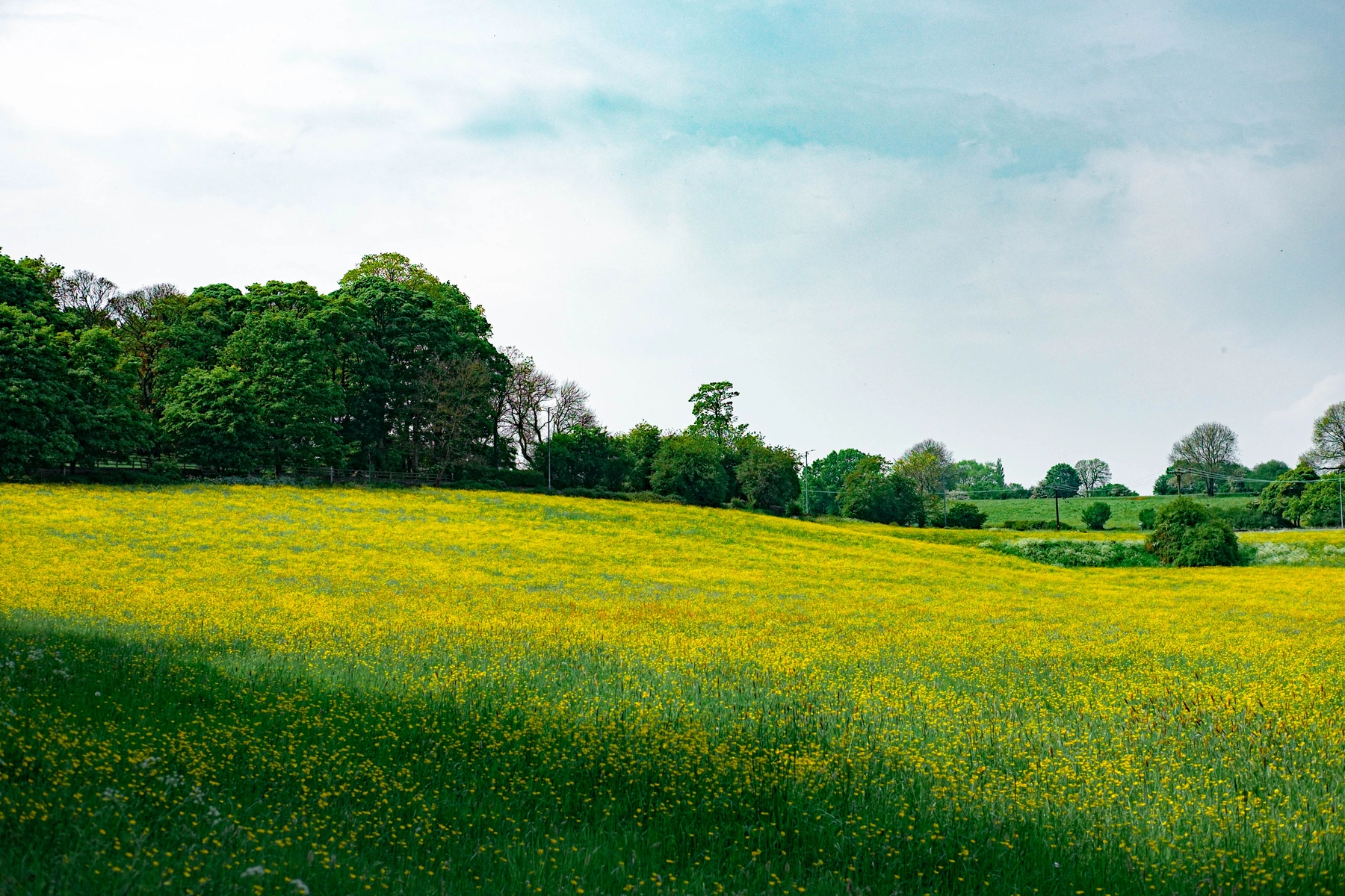 Nature photography