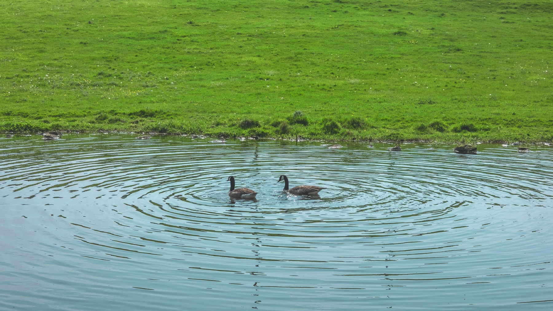 Nature photography