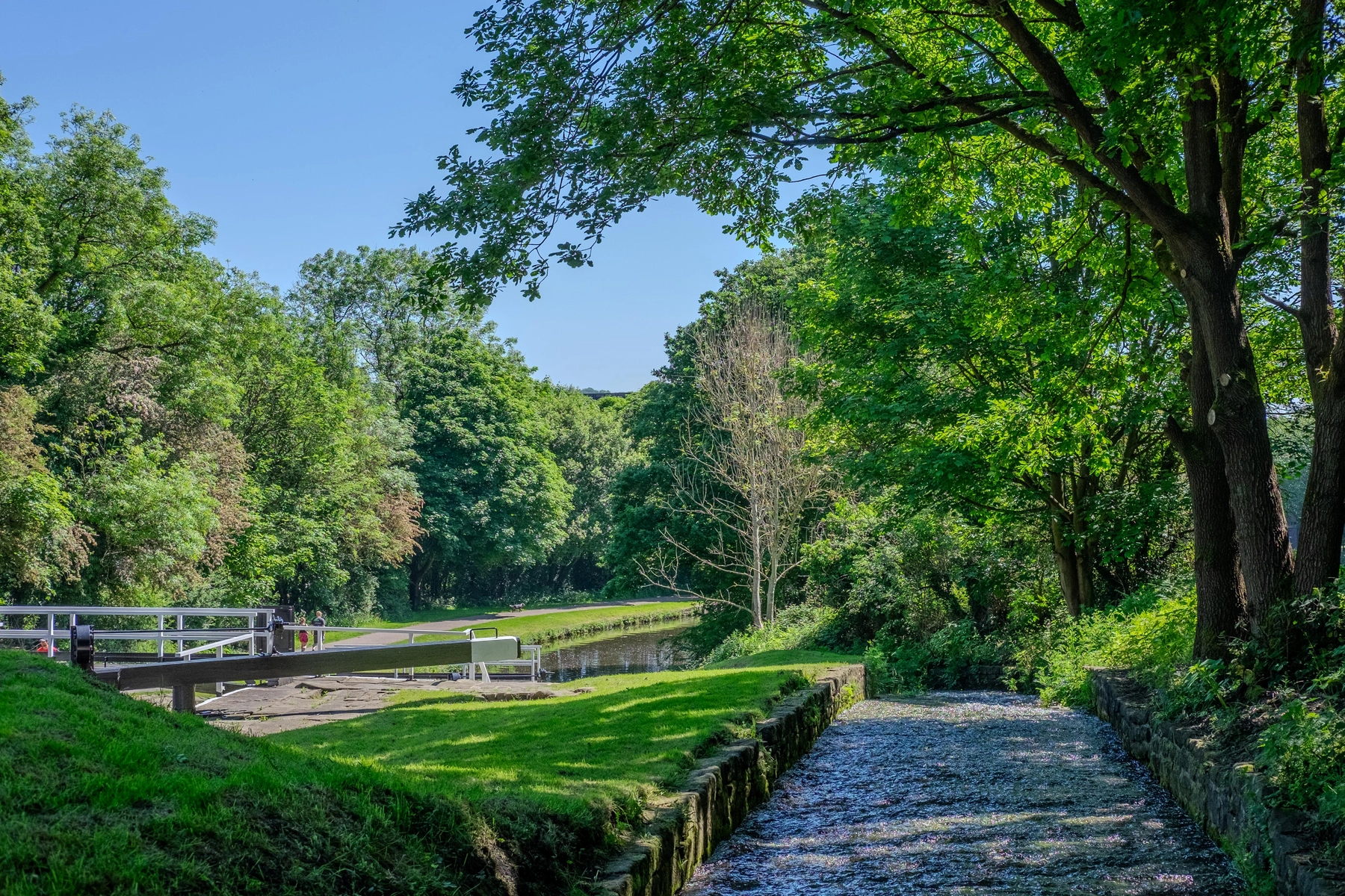 Nature photography