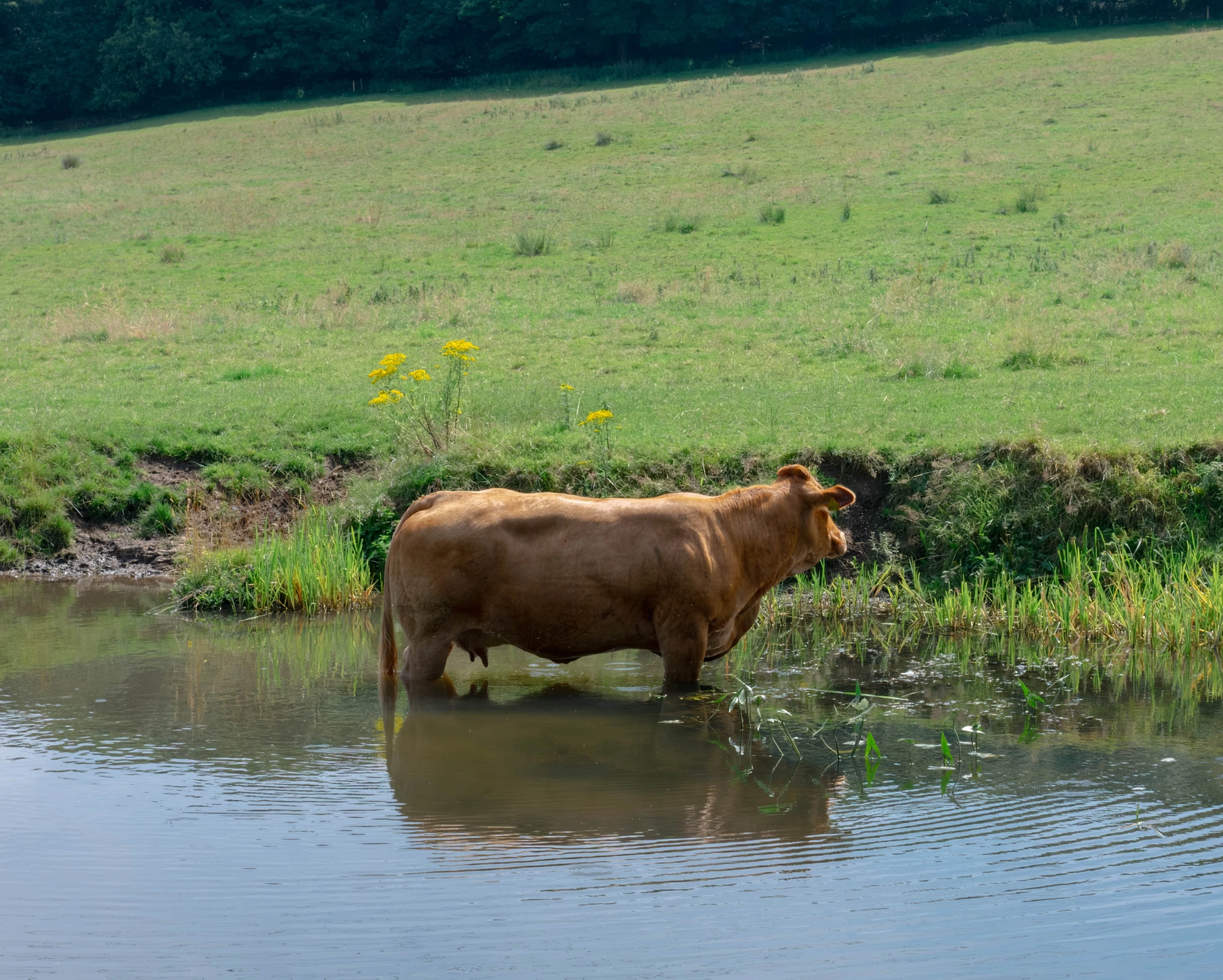 Nature photography