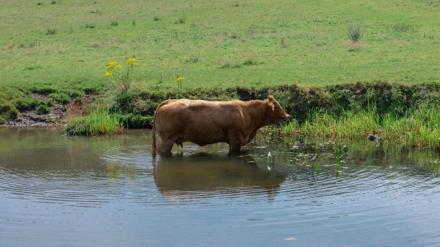 Nature photography