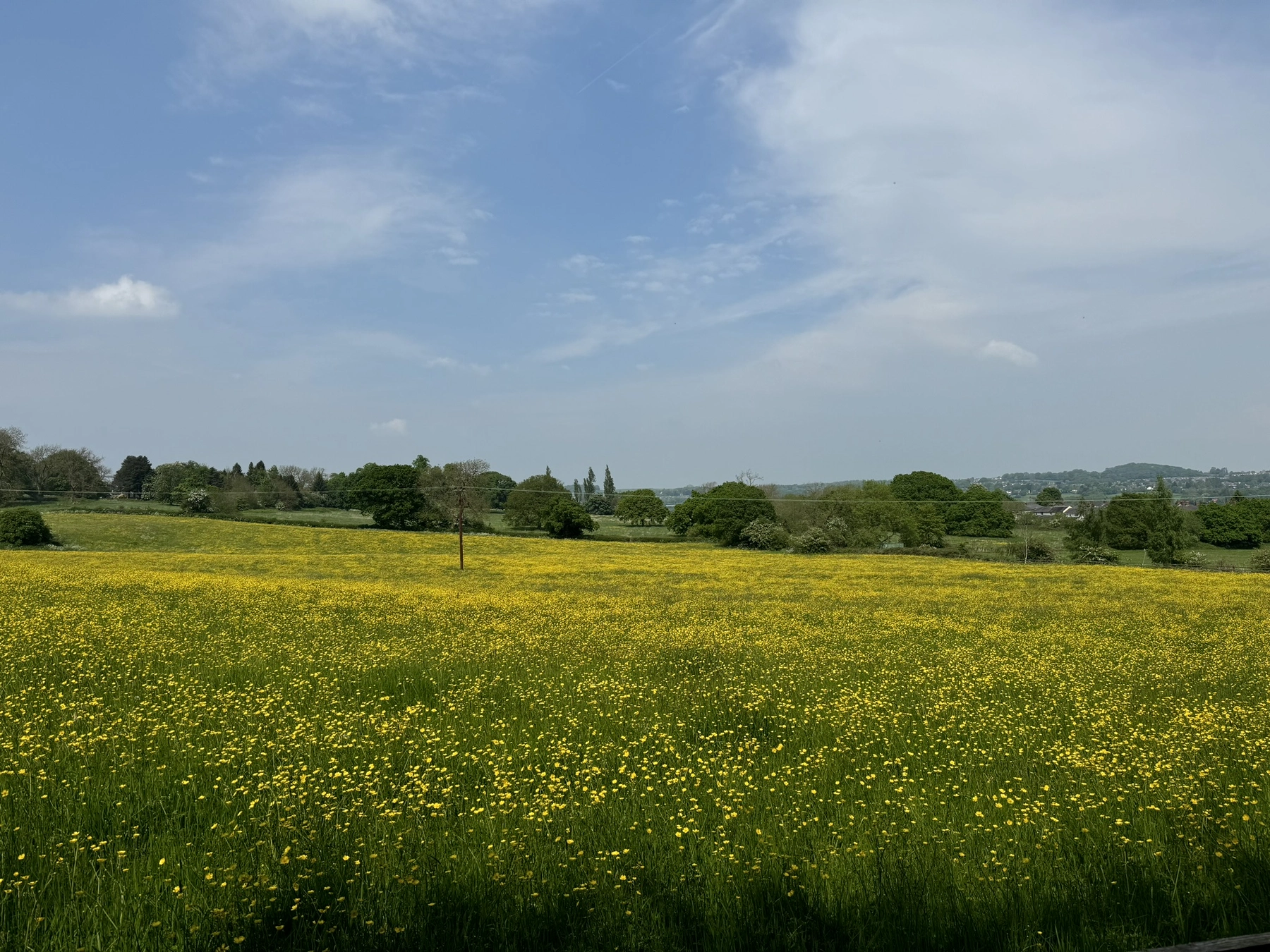 Nature photography