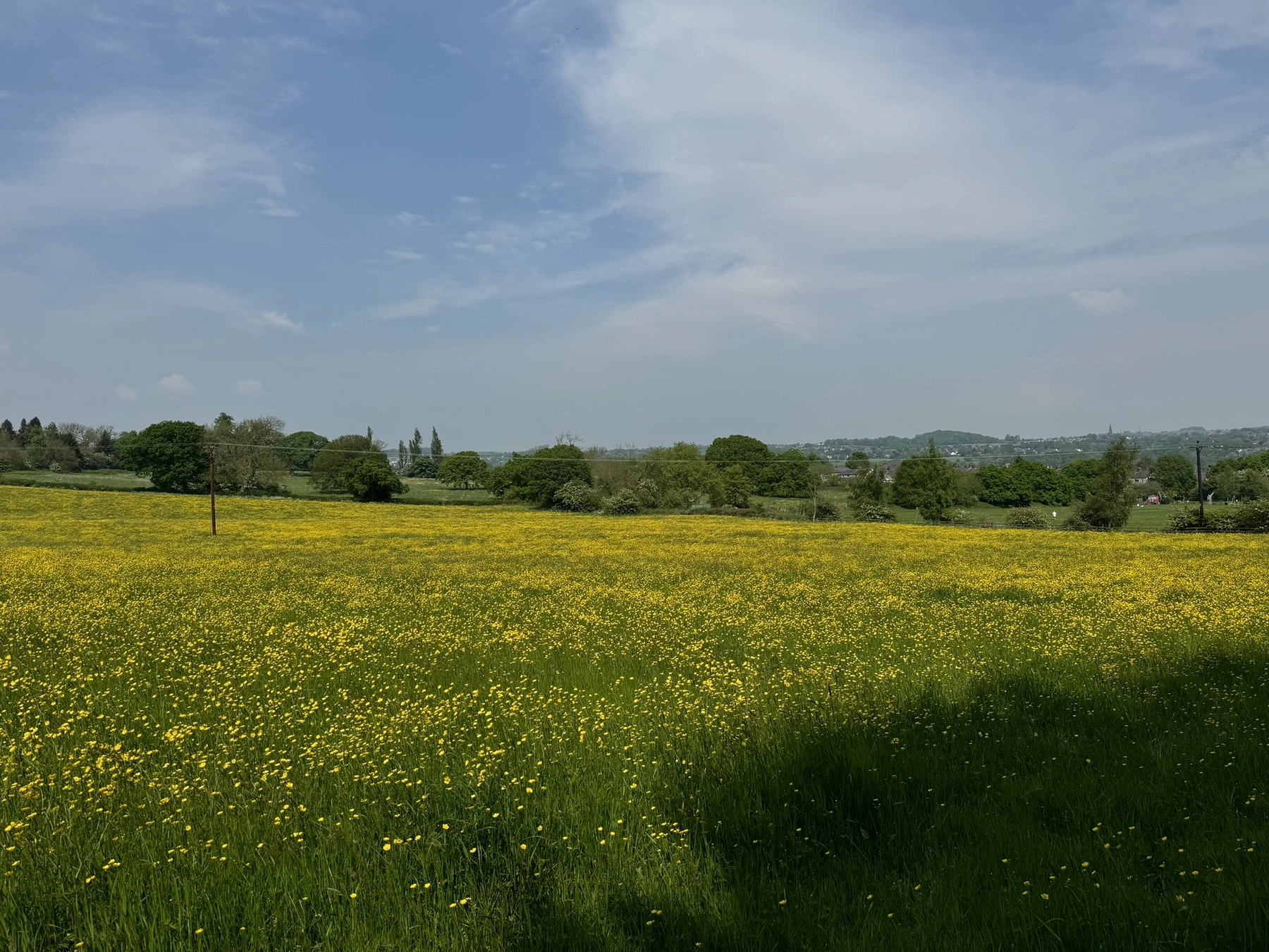 Nature photography