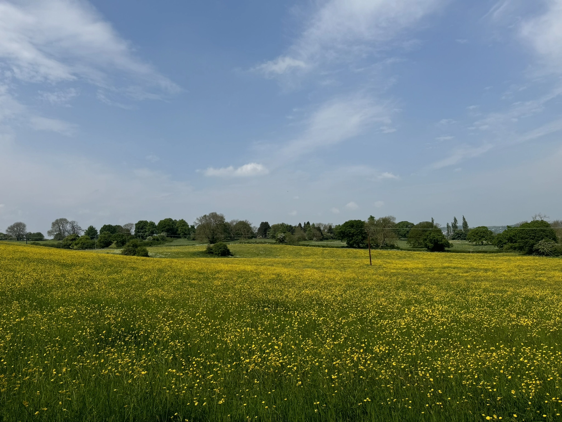 Nature photography