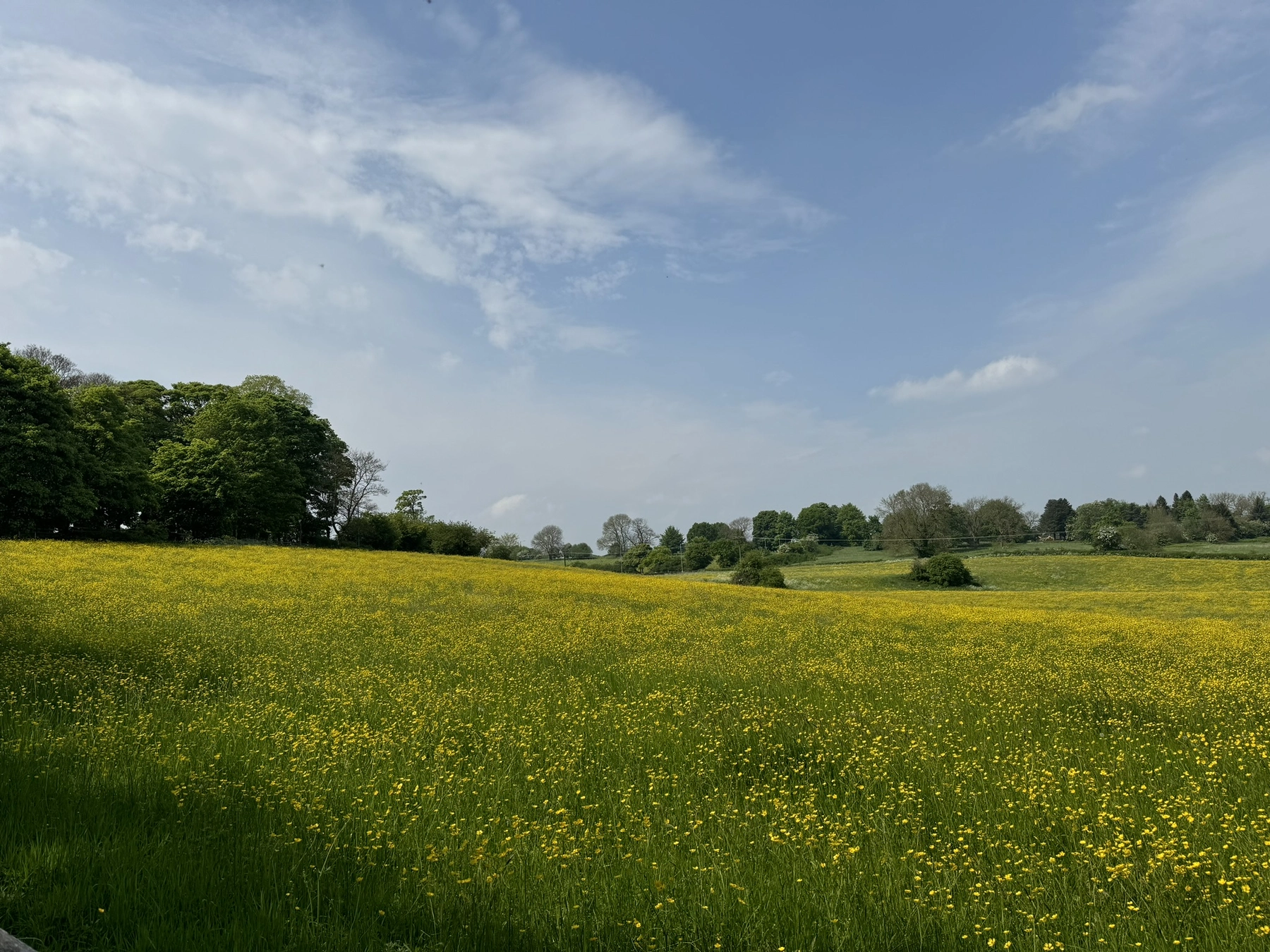Nature photography