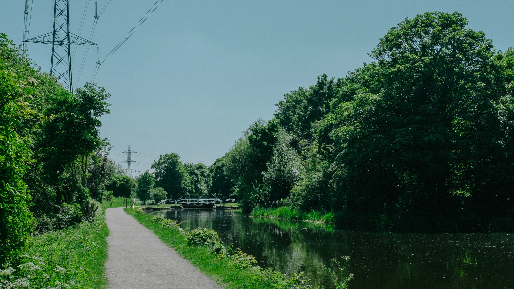 Nature photography
