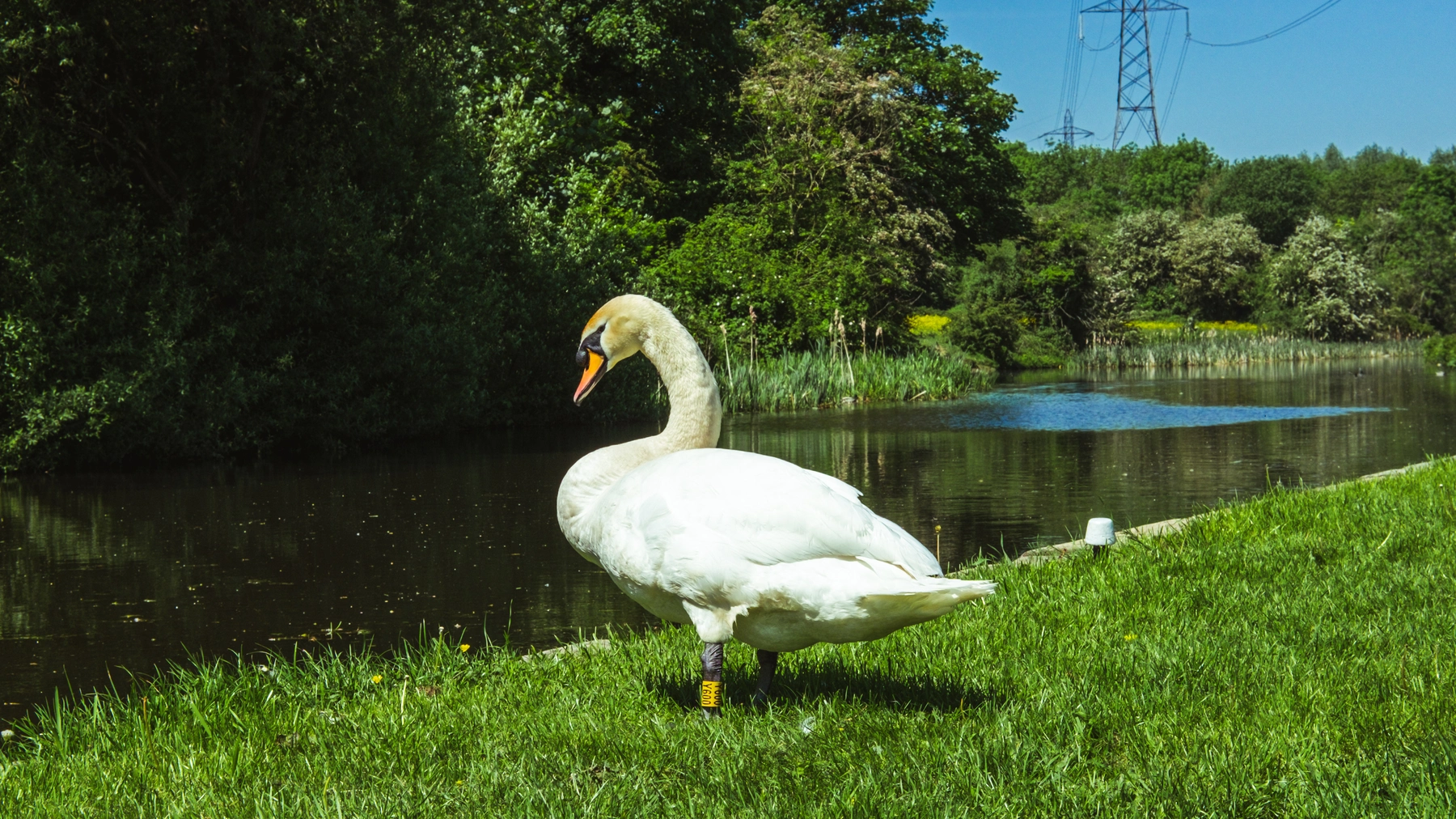Nature photography