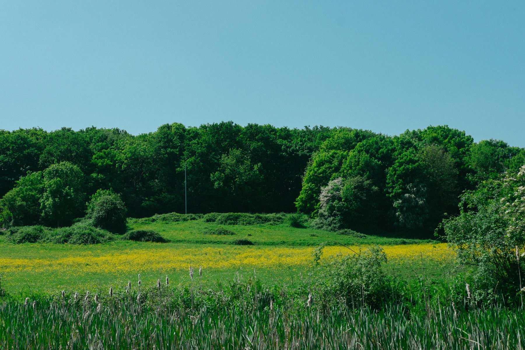 Nature photography