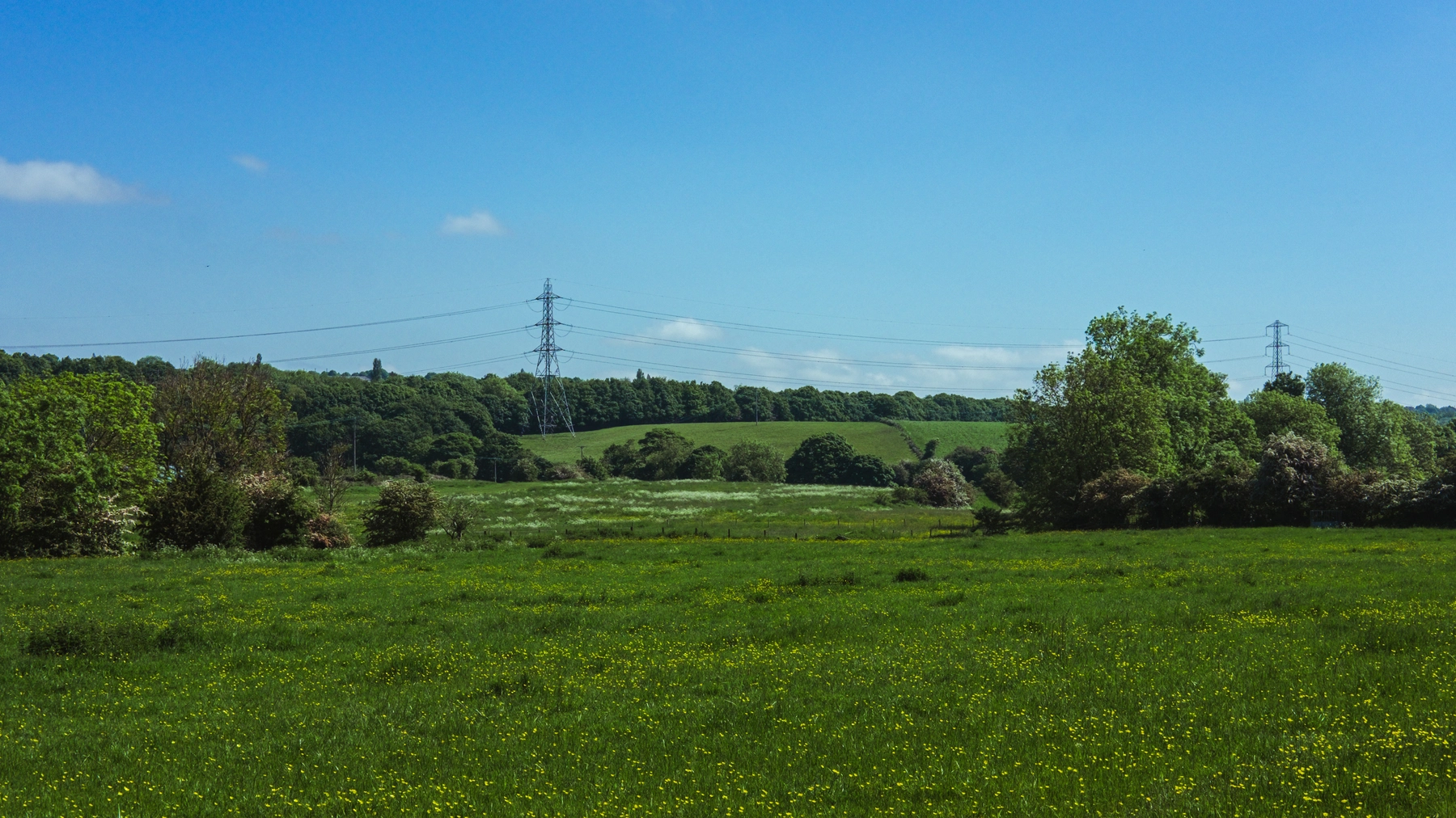 Nature photography