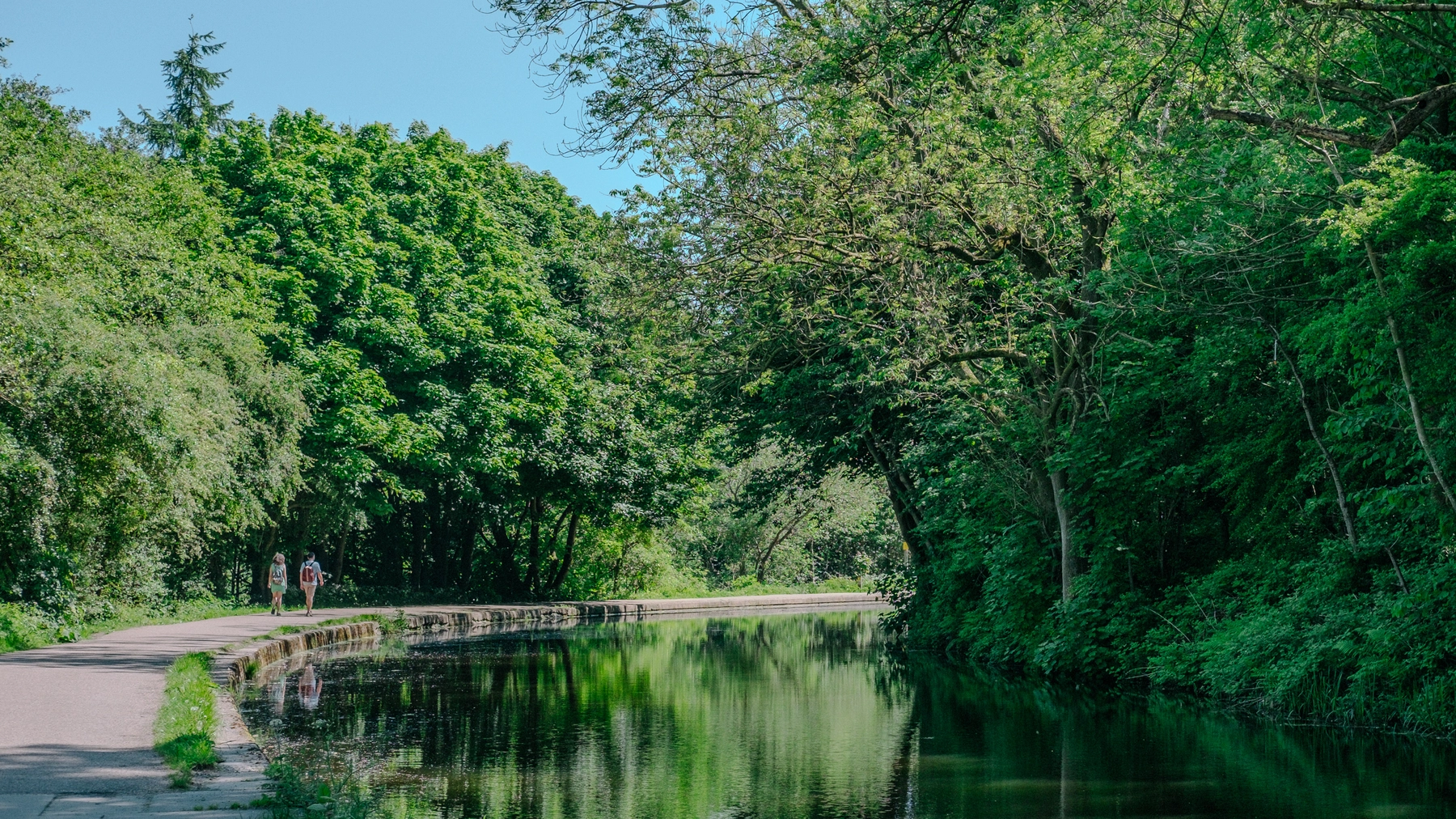 Nature photography