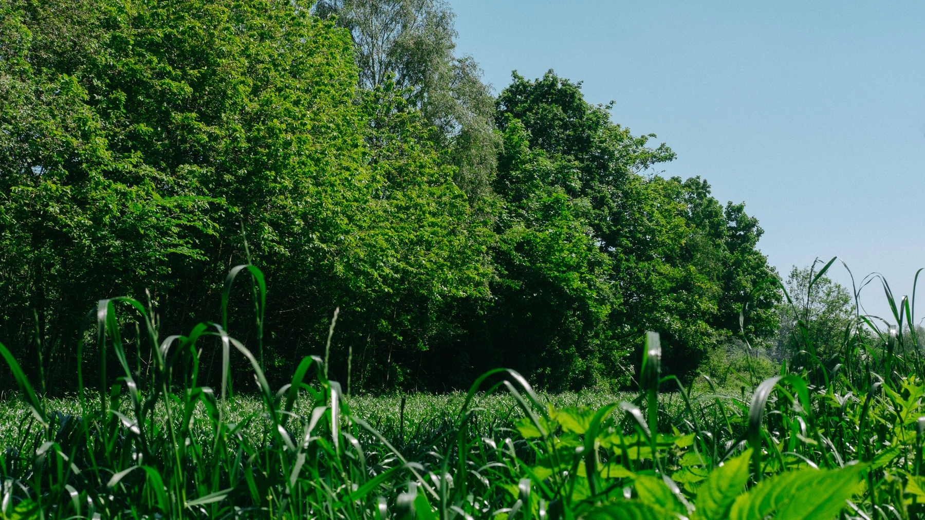 Nature photography