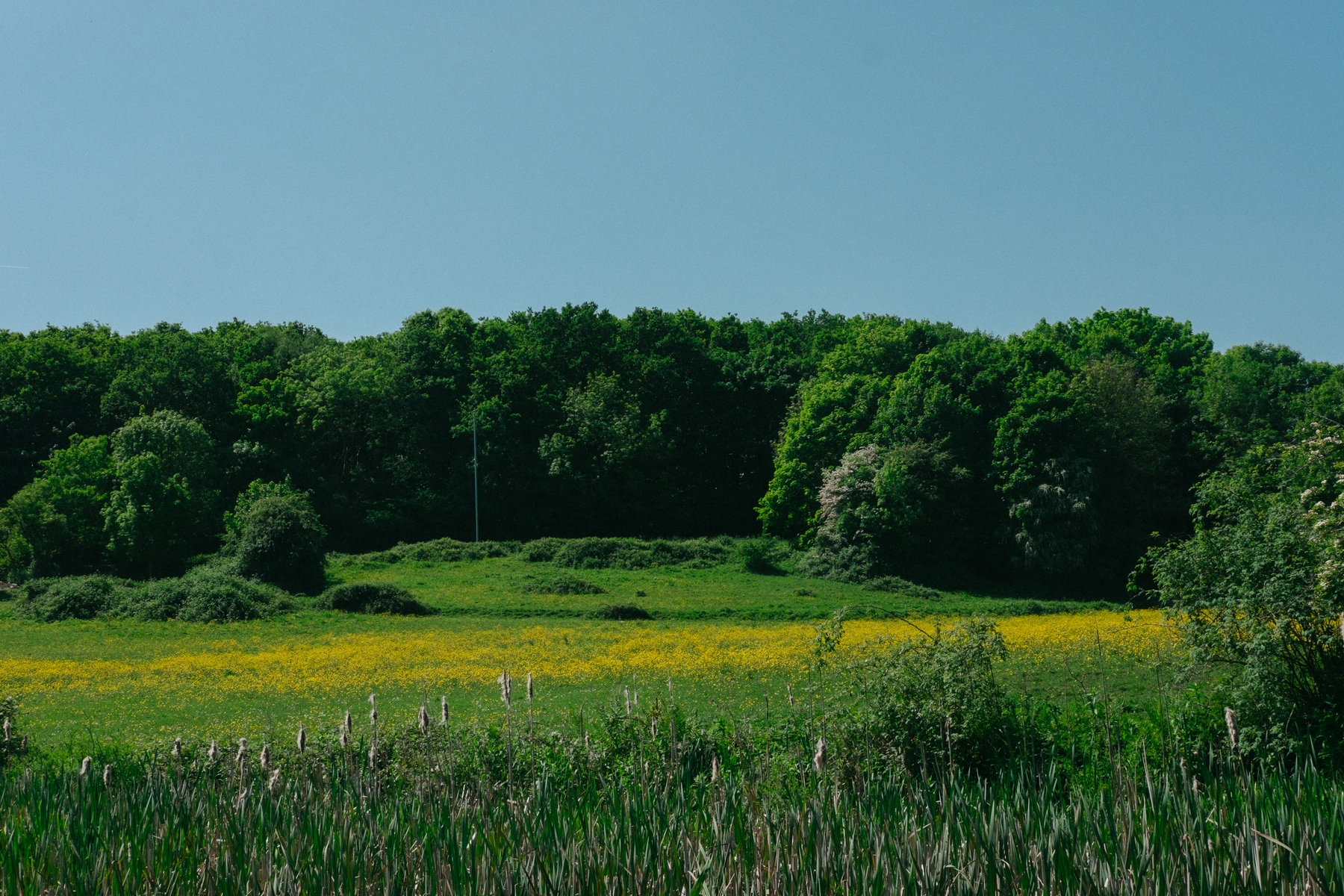 Nature photography