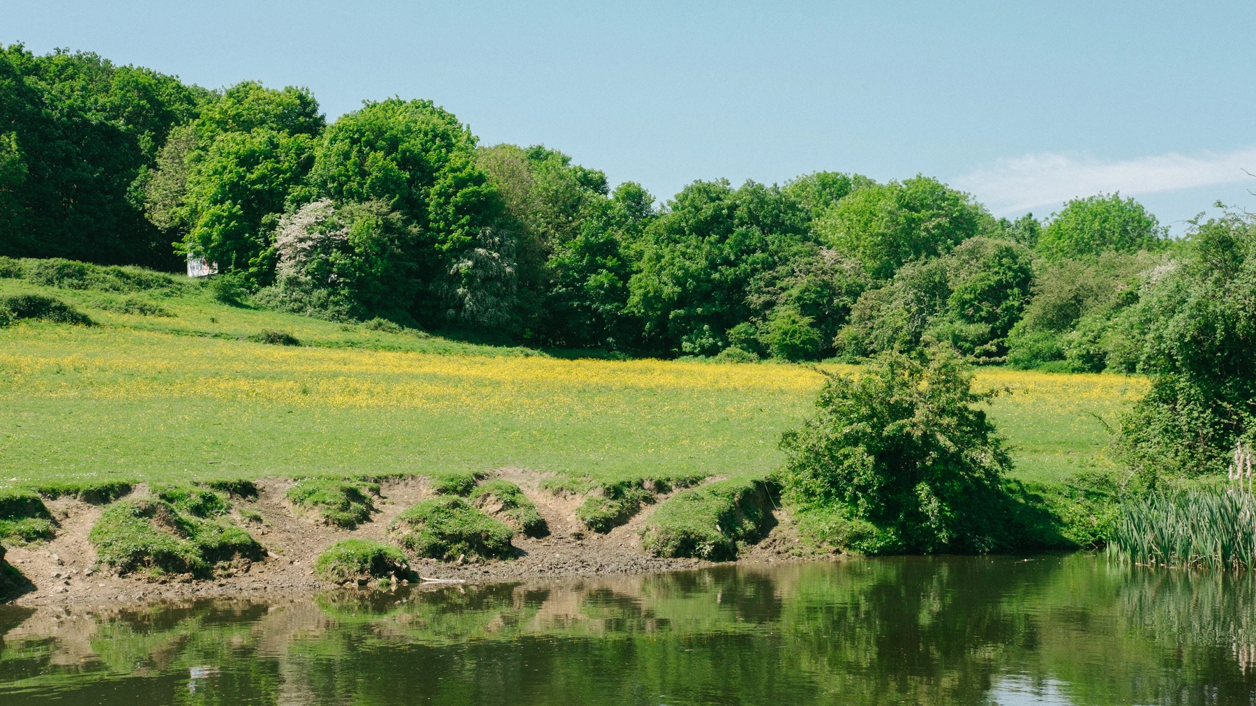 Nature photography